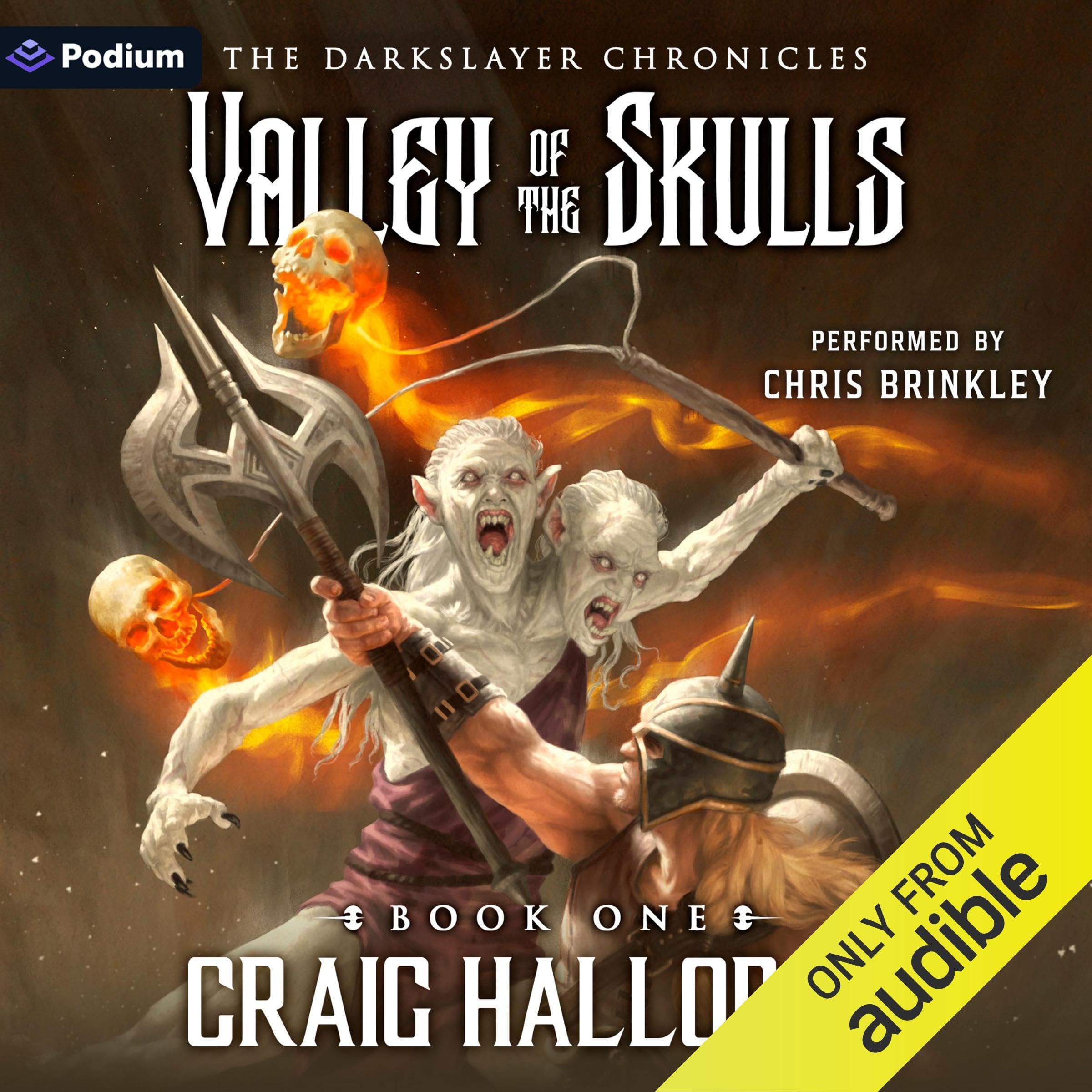 Cover art for The Darkslayer Chronicles: Valley of the Skulls