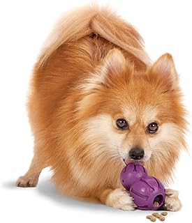 PetSafe Busy Buddy Barnacle Treat Dispensing Dog Toy