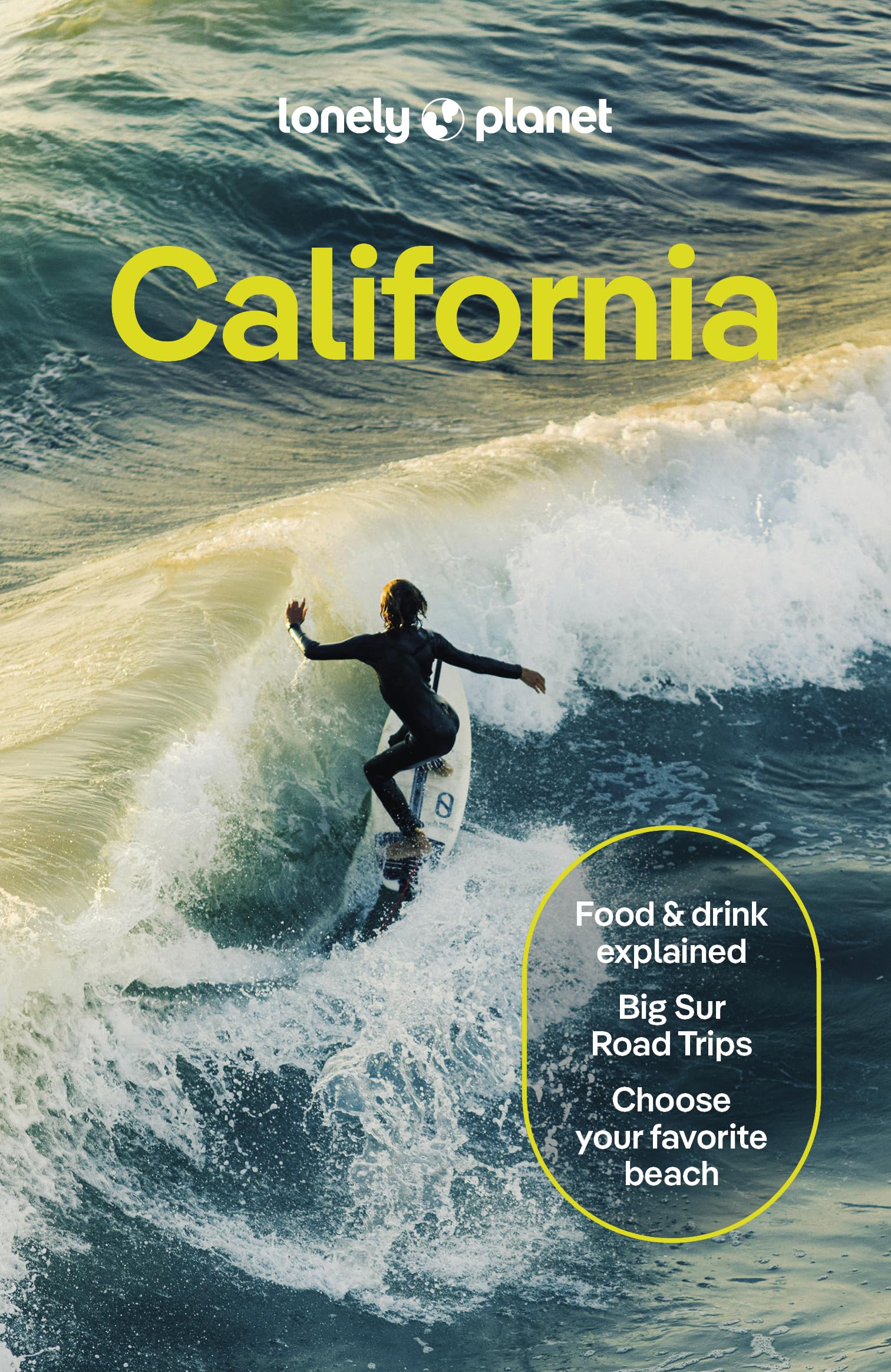 Lonely Planet California Travel Guide California Travel Guide