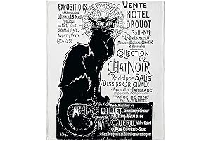 Chat Noir Super Soft Fleece Throw Blanket