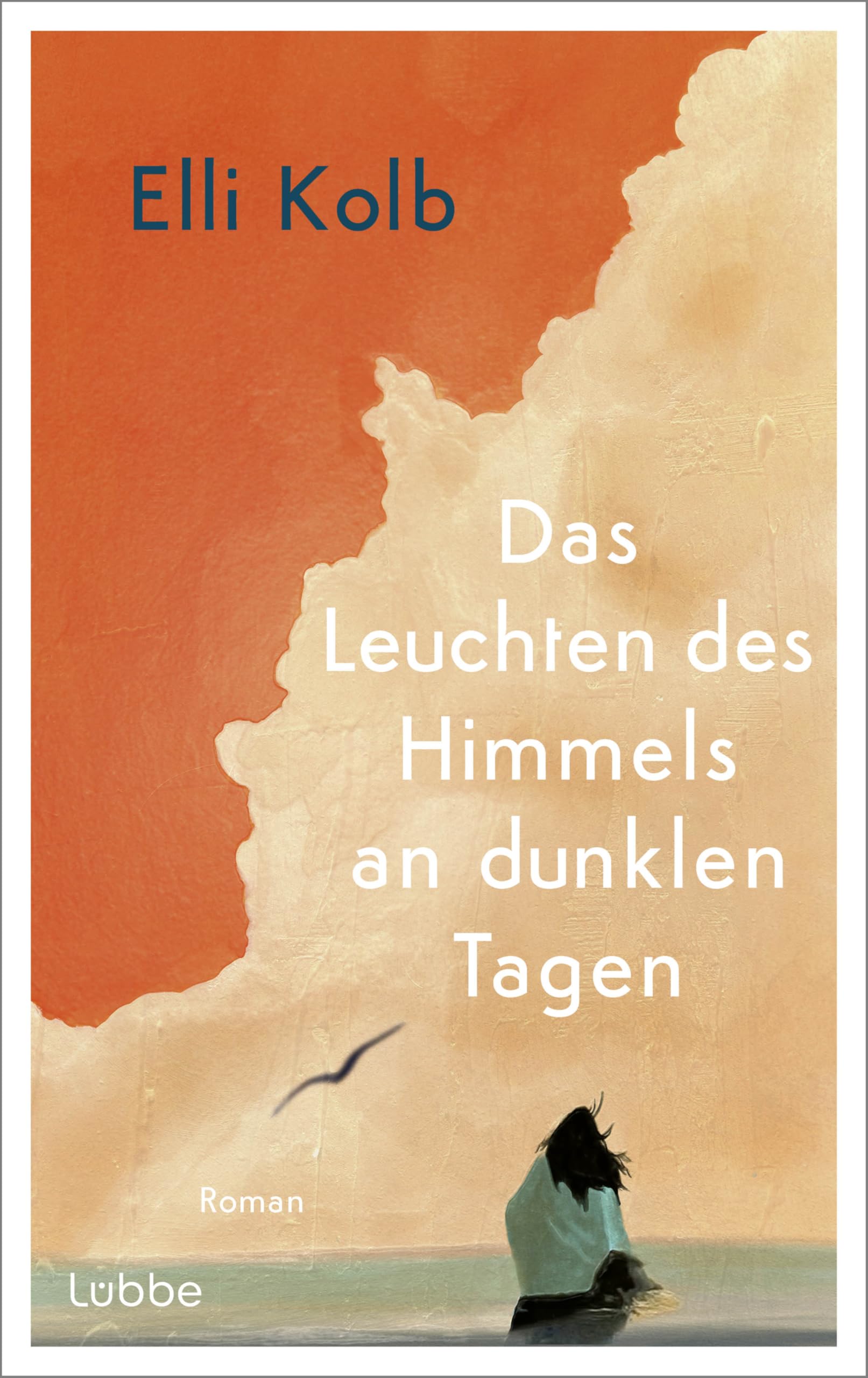Das Leuchten des Himmels an dunklen Tagen: Roman. Ein eindrucksvoller Roman über die Suche nach Halt und die Kraft des Neubeginns