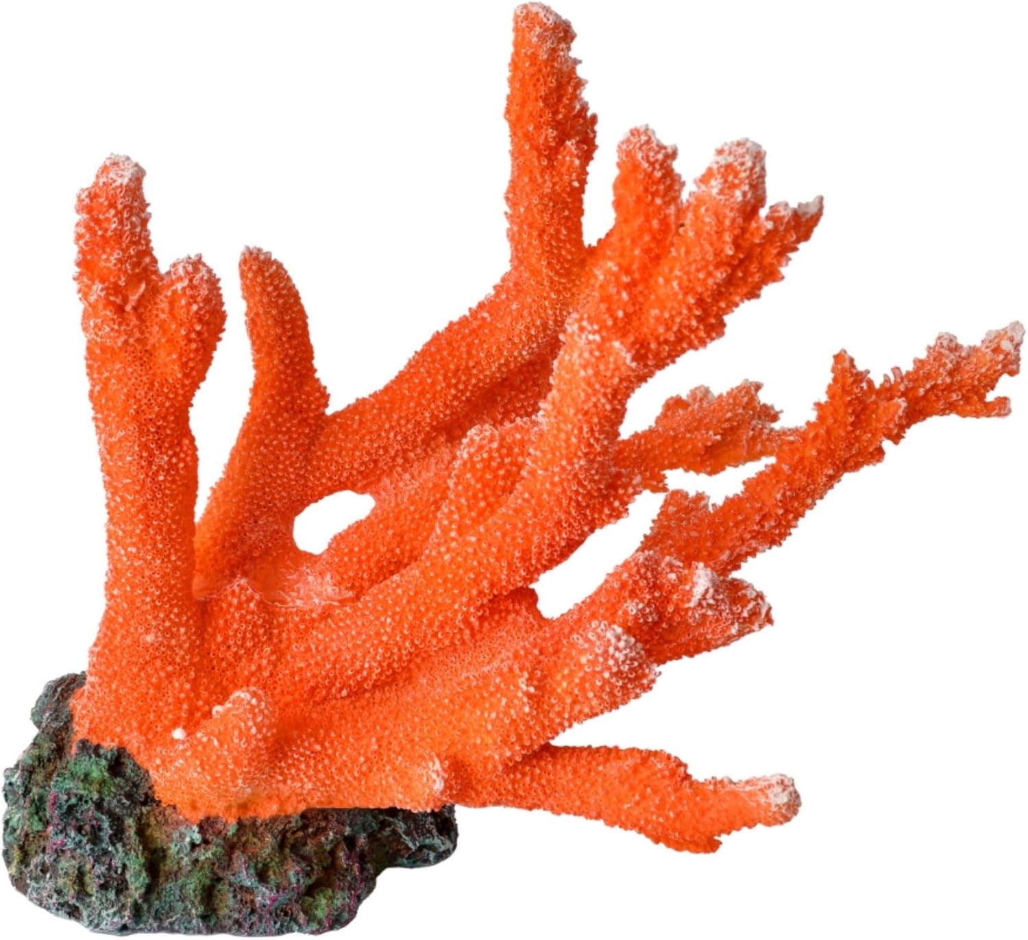 Aquatop Aquatic Supplies CD-04GRM Coral Decor, Green/Purple