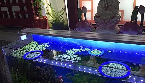 Miniatura 6 de Anillo de planta flotante para acuario  10 anillos de alimentación de peces, circulares de plantas flotantes, corral, valla flexible de lenteja de