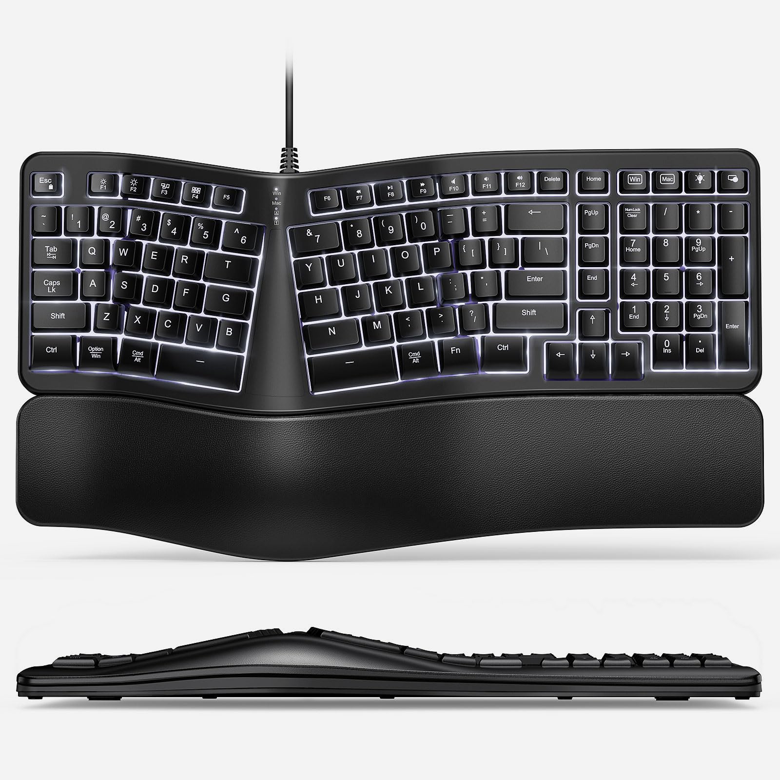 TANNSEN Backlit Wired Ergonomic Keyboard USB Split Keyboard with Wrist Rest and Comfortable Typing, 104 Keys, 10 Shortcuts for Windows, Mac and Laptop PC Computer