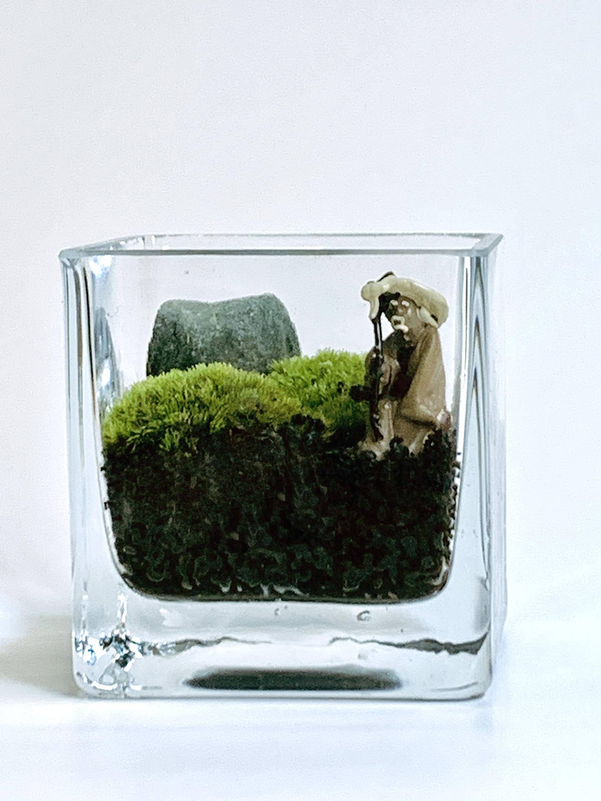 Amazon｜小さな苔の世界【苔テラリウム（（桃源郷に住む仙人）】｜観葉
