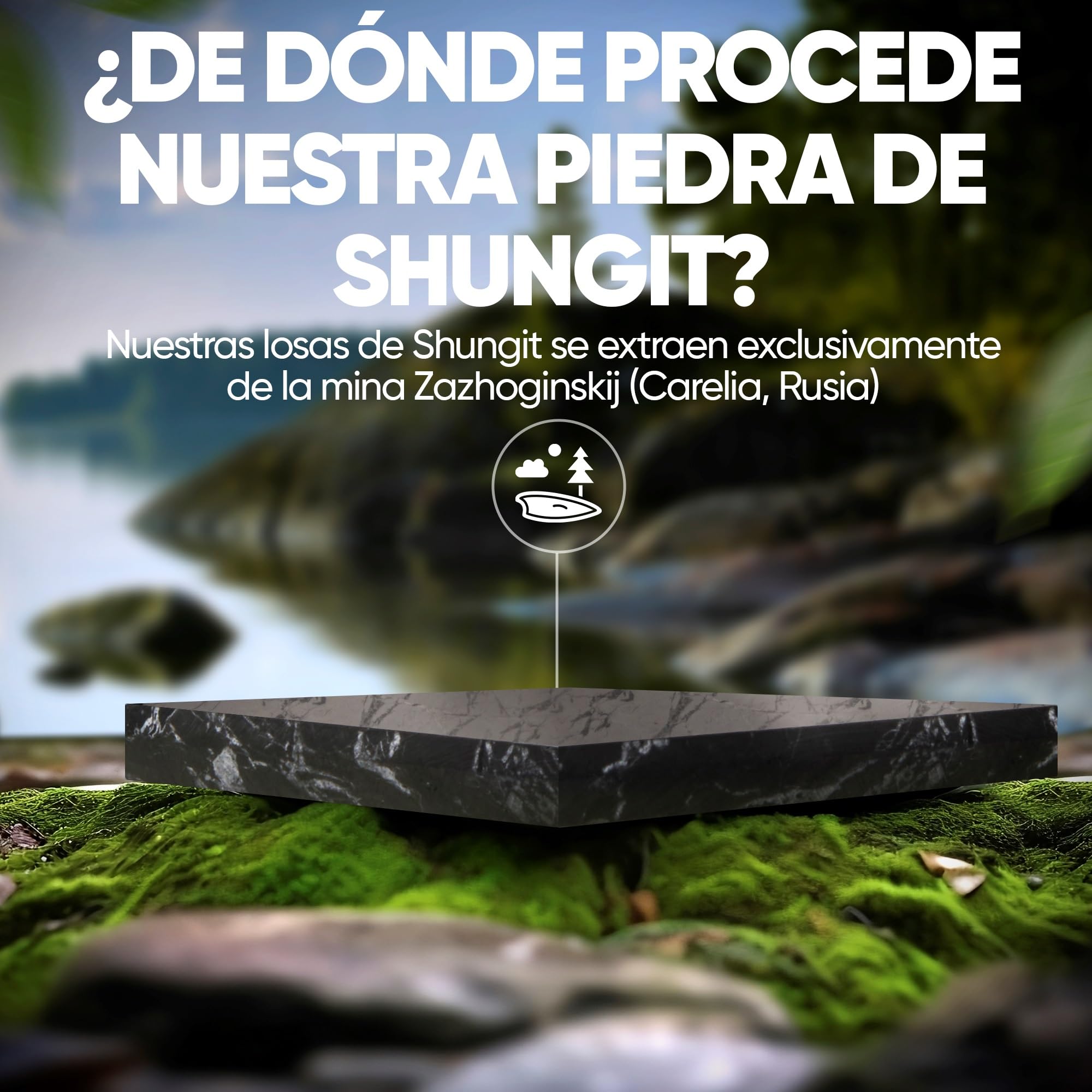 Placa de Shunguita PURAJA | Original de Carelia | Pulida a mano con bordes redondeados | Con certificado de la mina de Zazhoginskij