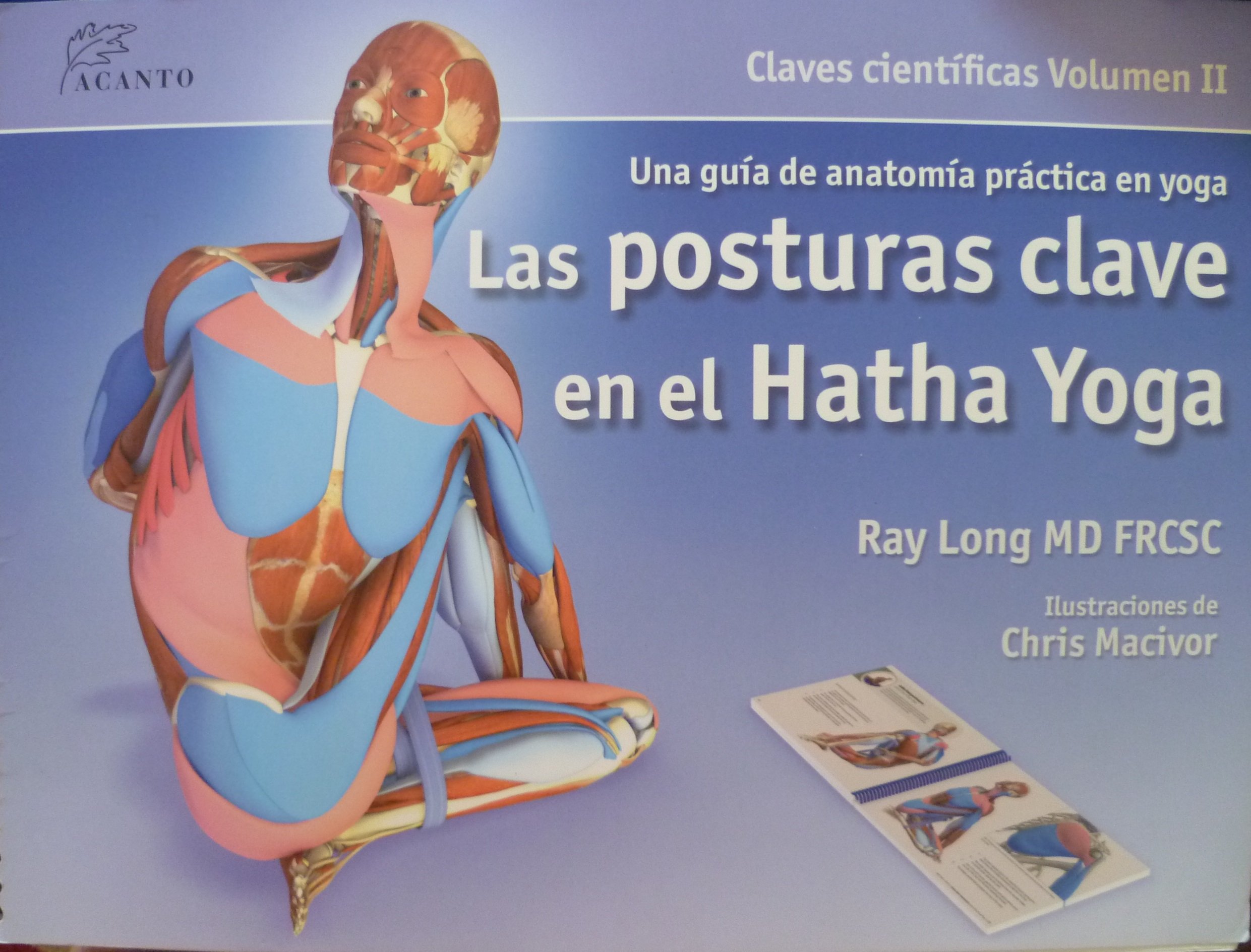 Las posturas clave en el hatha yoga (SIN COLECCION)