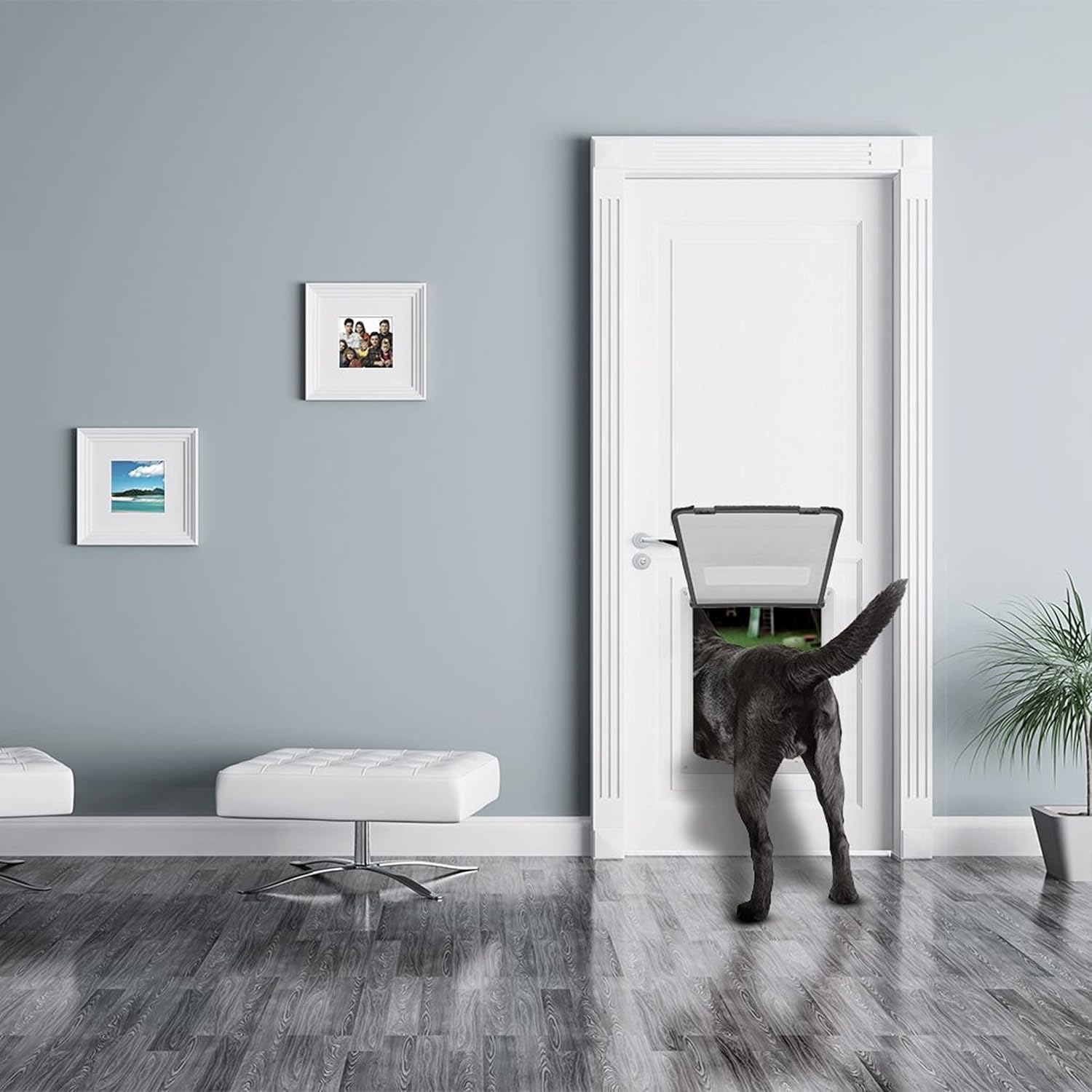 Medium Breed Locking Pet Door - 11" x 9" Opening with Hard Plastic Flap by Weebo Pets