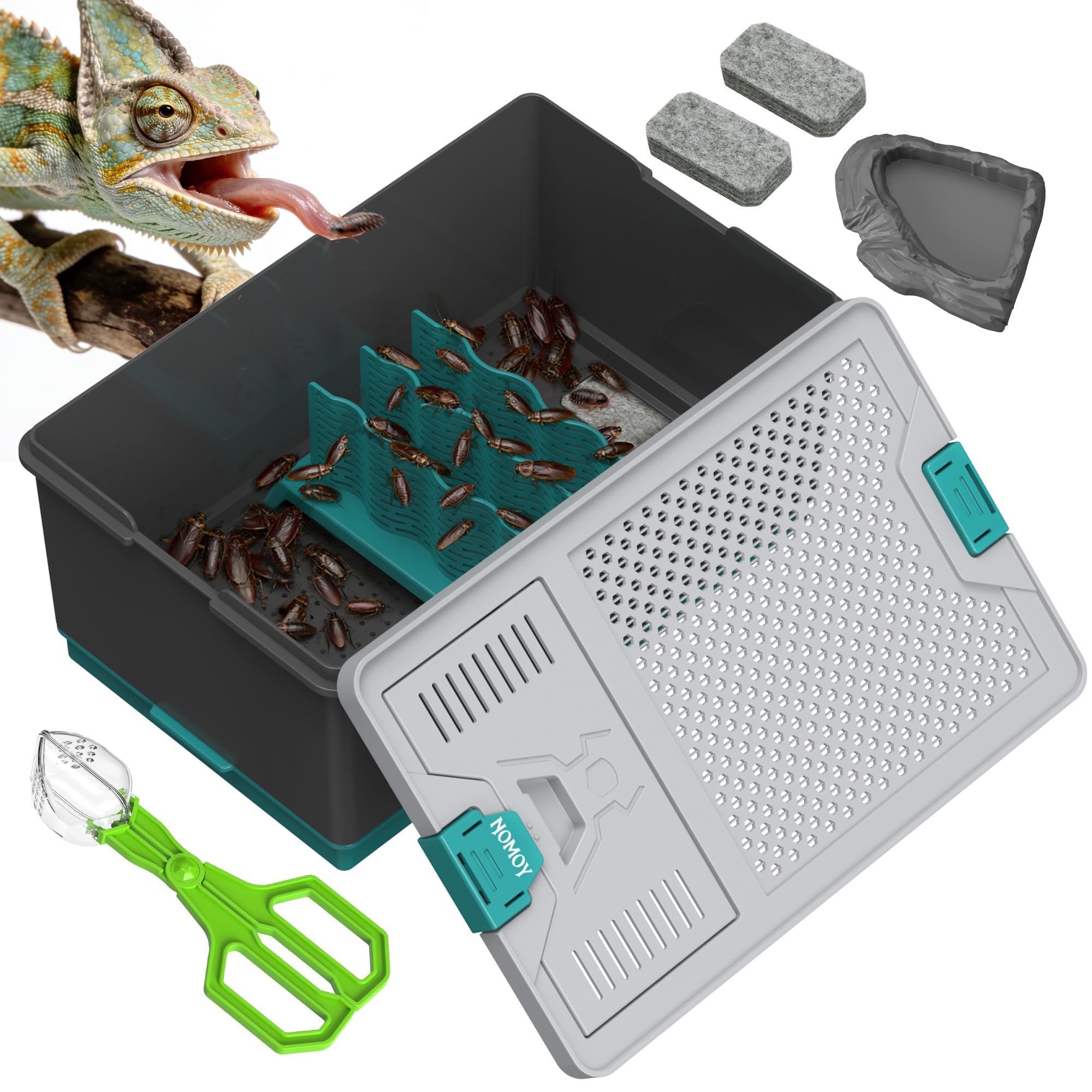 NOMOY Self-Cleaning Reptile Feeder Insect Habitat with Escape-Proof Lid, Removable Climbing Frame, Water Sponge & Bug Spoon – Cricket/Roach Enclosure, Easy-Clean, Ventilated for Lizards, Frogs & Pets