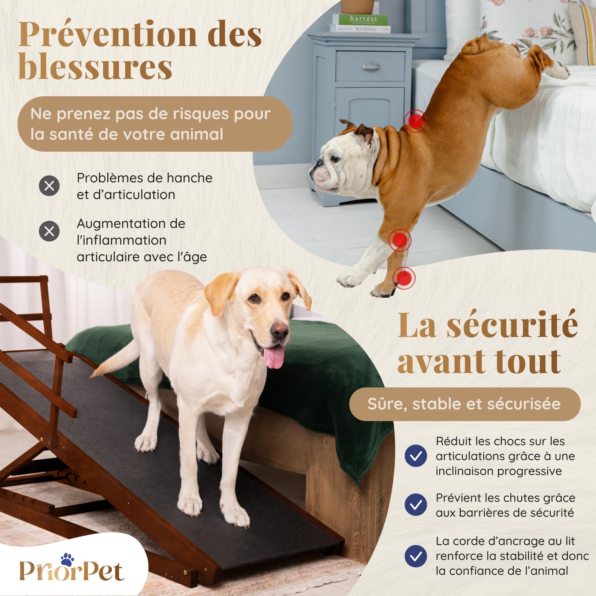 Rampe pour Chien Grande Taille pour Lit avec Barrières de Sécurité – pour Lit Haut jusqu'à 94,5 cm – Capacité jusqu'à 90 kg – Rampe de lit pour Chien Pliable, Antidérapante – Bois de Bouleau – Noix