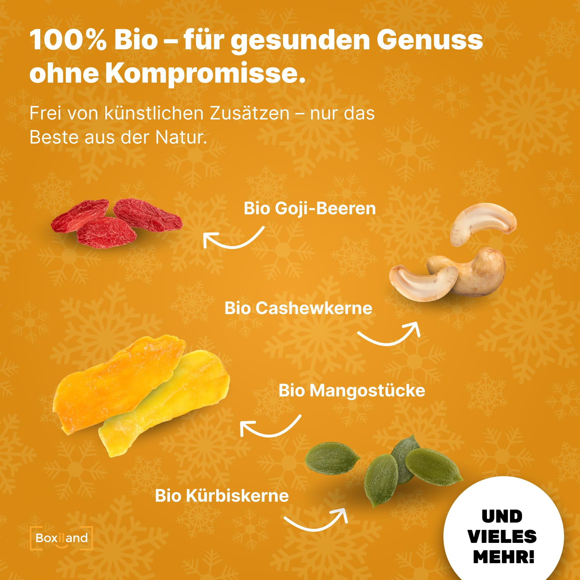 UMBRELLA® Früchte Nüsse Kerne Adventskalender 2025 – 24 Gesunde Snacks Vegan Trockenfrüchte Hergestellt in DE