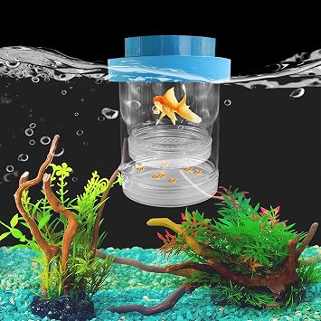 Schwimmende Fischzuchtbox Kunststoff-Zuchtbox f r Aquarien mit Saugnapf transparenter Aquarium-Trennwand verstellbare Isolationsbruterie f r Garnelen Guppy gro