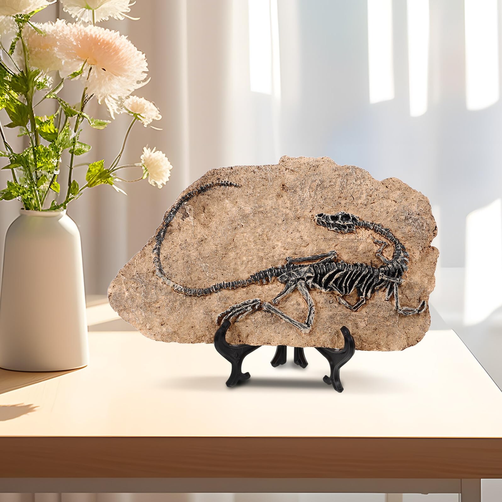 DOITOOL Statua Decorativa Ornamento Realistico per Arredamento di Fossile di Dinosauro in Resina e Regalo Educativi per Ragazza per Casa e Ufficio
