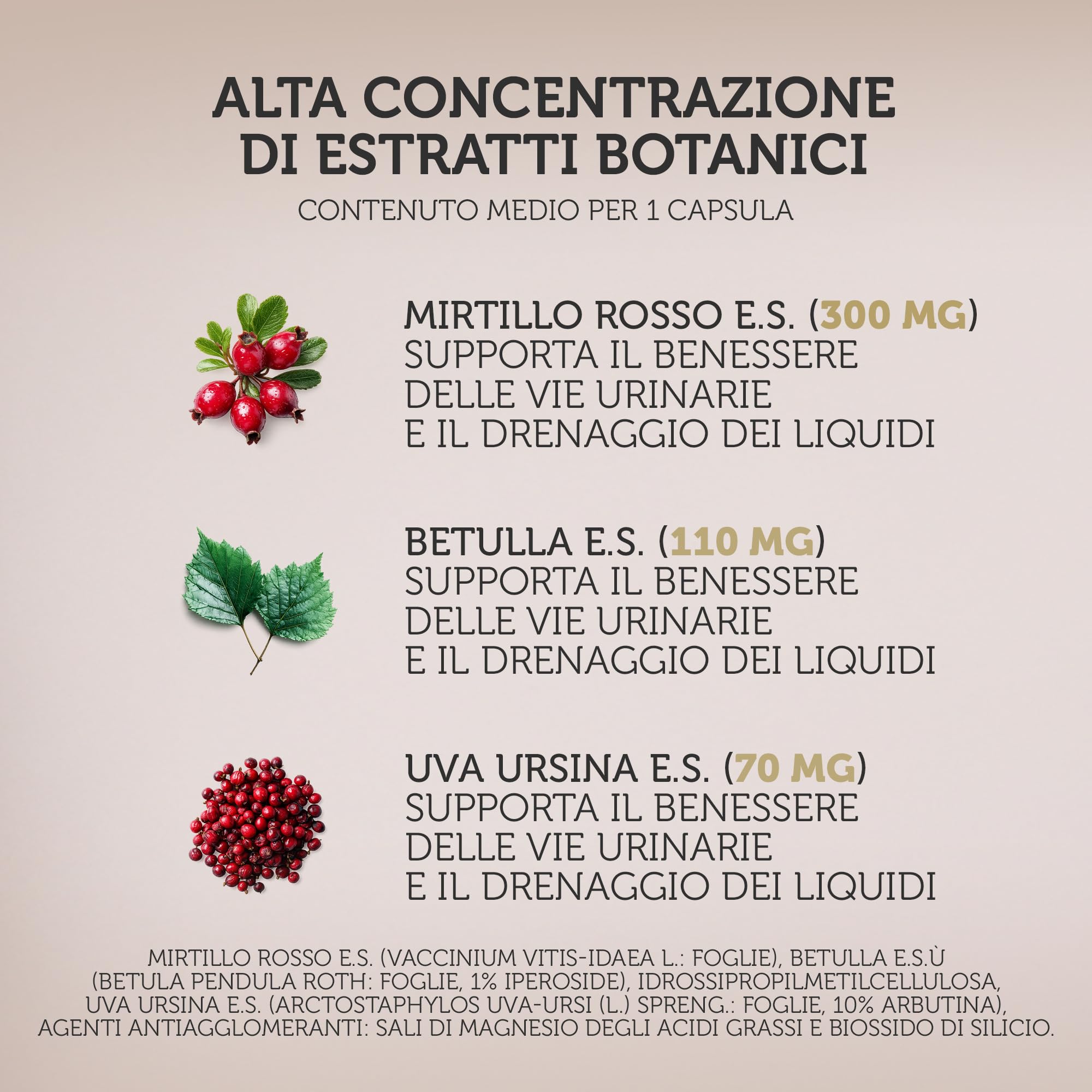 Integratore 100% naturale con MIRTILLO ROSSO E UVA URSINA - utili per la funzionalità delle vie urinarie, con BETULLA - 30 capsule