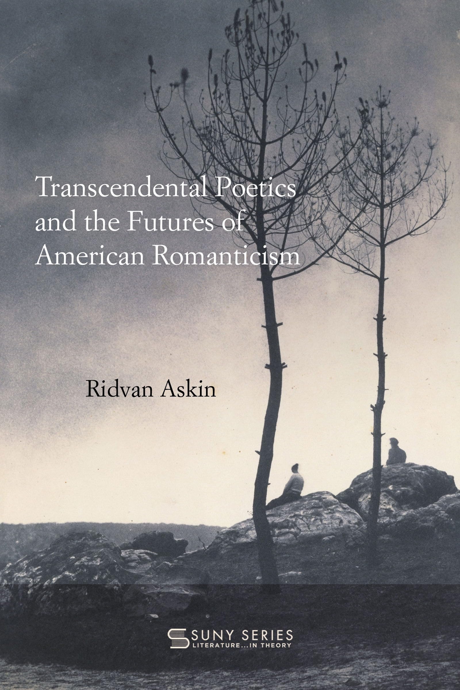 Transcendental Poetics and the Futures of American Romanticism (SUNY series, Literature... in Theory)