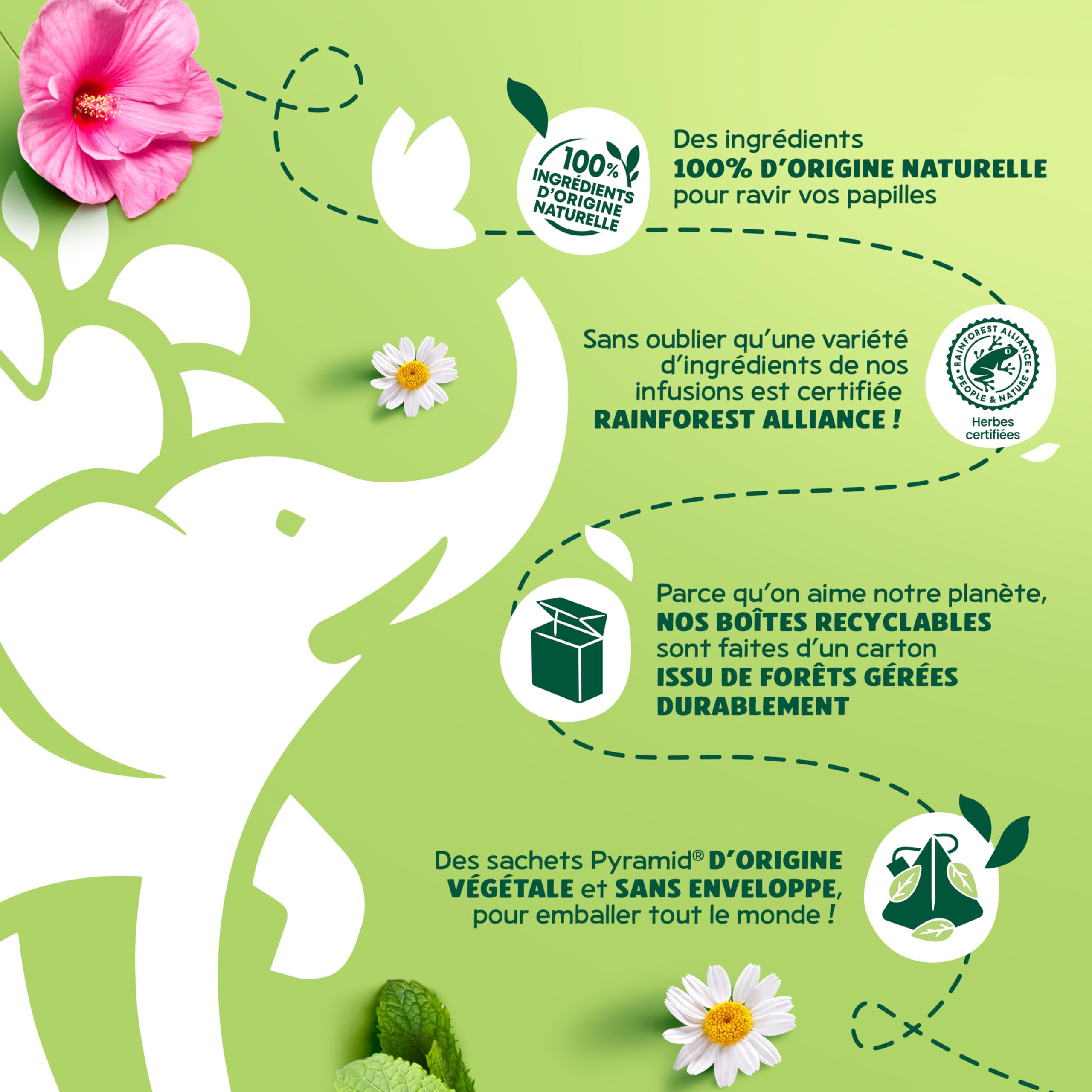 Elephant My Organic Detox Infusion 20 torebek