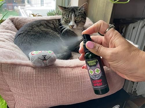 Miniatura 4 de Smokey's Stash Botella de hierba gatera de 2 onzas con juntas preenrolladas rellenas de nip para gatos, 5 juntas por paquete
