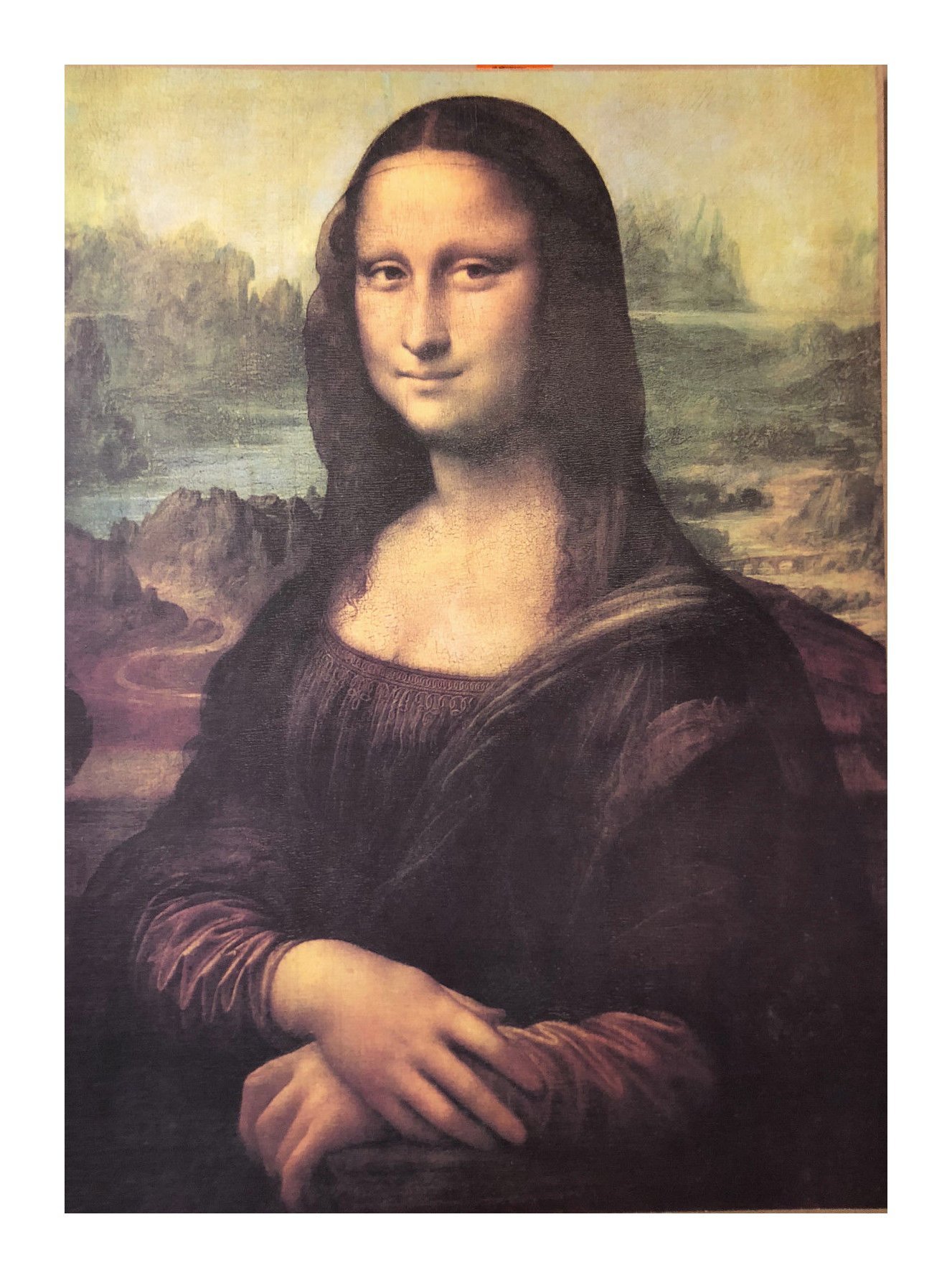 Made in Italy Mona Lisa Bild mit Barock Rahmen Wandbild von Leonardo da Vinci 70x90cm Kunstdrucke Gemälde Retro Repro Antik für Home Büro Praxis Café 58B