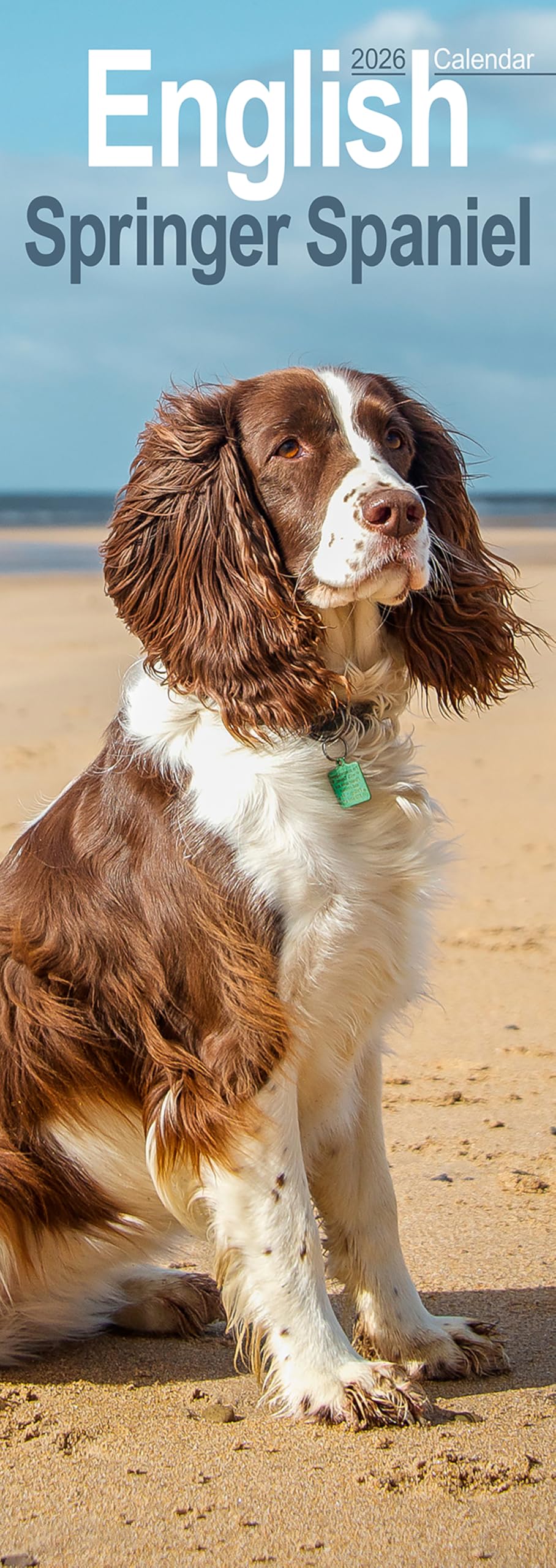English Springer Spaniel Slim Calendar 2026