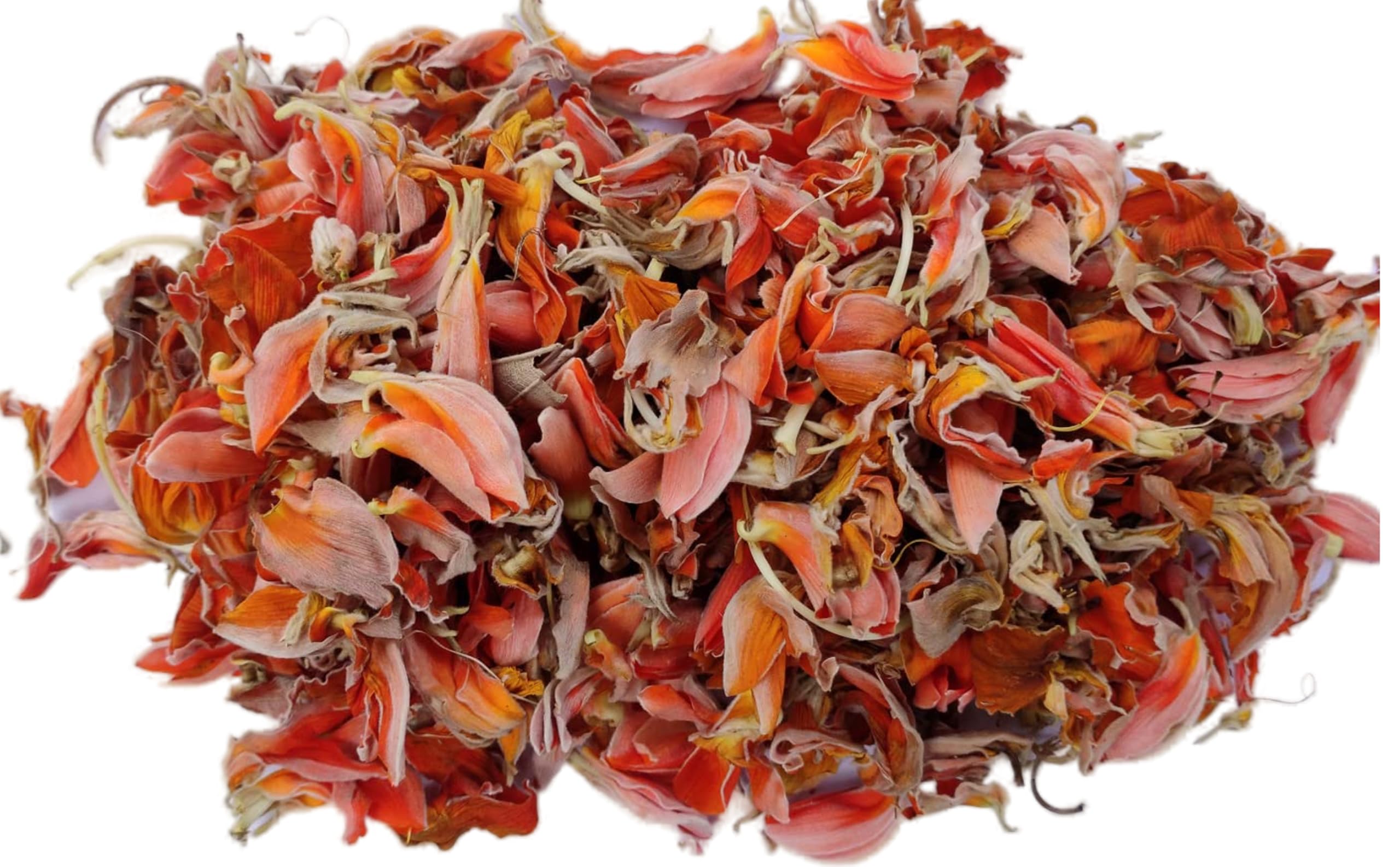 RUKDA® Tesu | Palash | Dry Palash Phool | Butea Monosperma Medicinal Plant | Dhak ke Phool - 100 gm-image-35