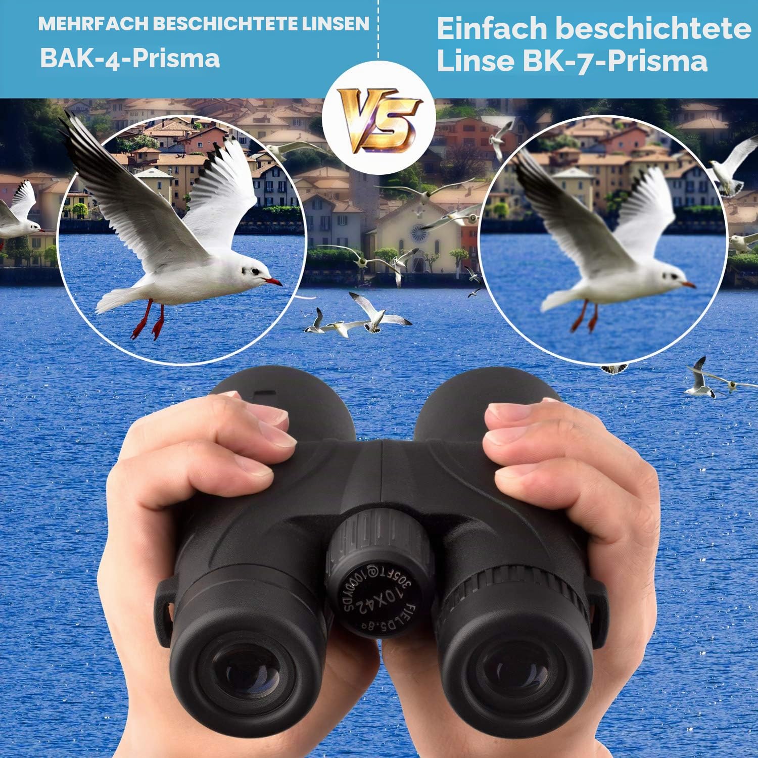 10x42 Fernglas für Erwachsene - Professionelles HD Dach BAK4 Prismenlinse Fernglas für Vogelbeobachtung, Jagd, Reisen, Sport, Kreuzfahrt, Konzert, mit Tragetasche