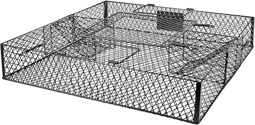 Jaula de suqirrel (sin bandeja inferior) - para ardillas y ardillas, construcción de metal, 1 trampa