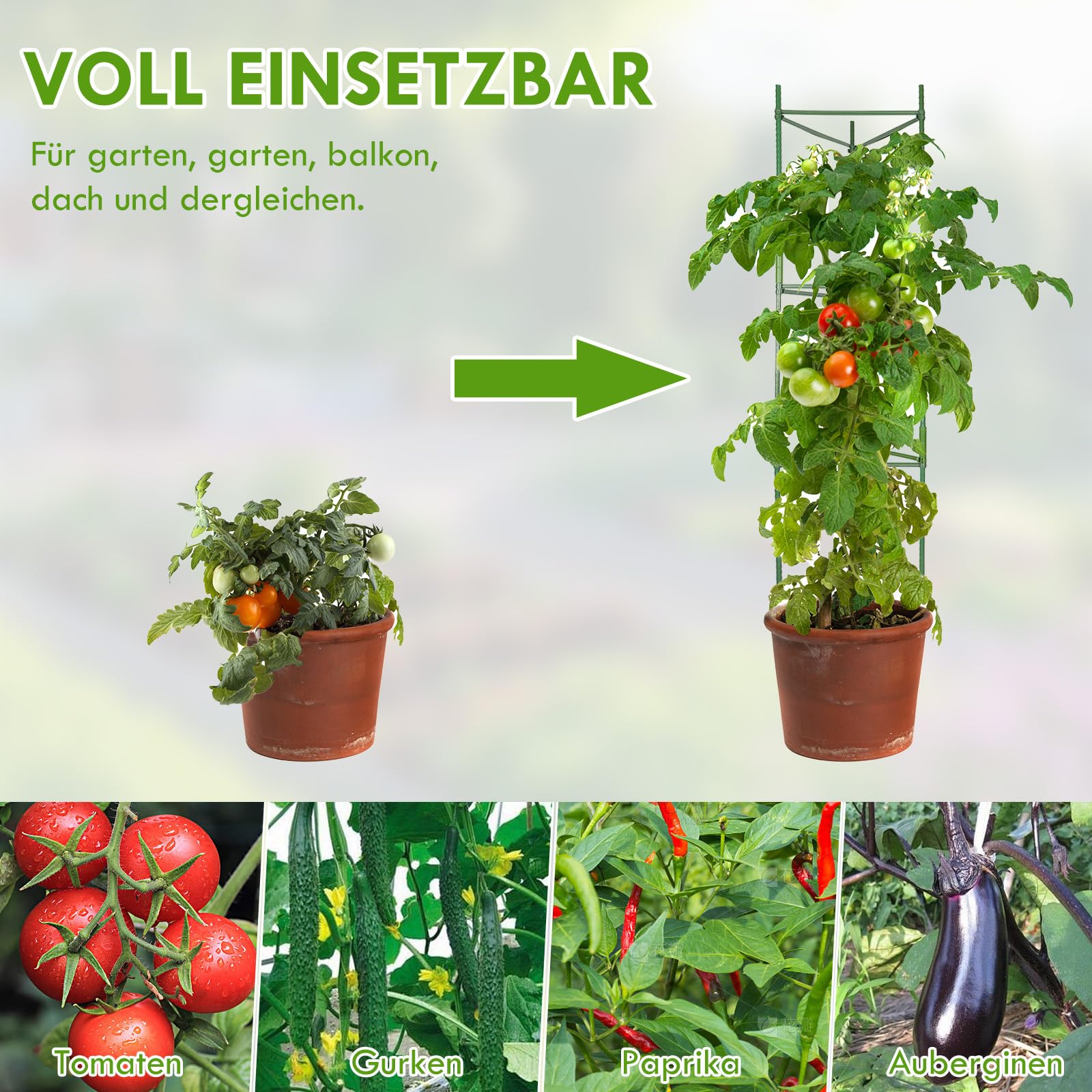 6 Stück Tomaten Rankhilfe, Gurken Rankhilfe, Rankhilfen für Kletterpflanzen für den Garten, Zusammengebaute Rankhilfe Tomaten, Rankhilfe für den Gemüse, Blumen und Obstanbau (120CM)