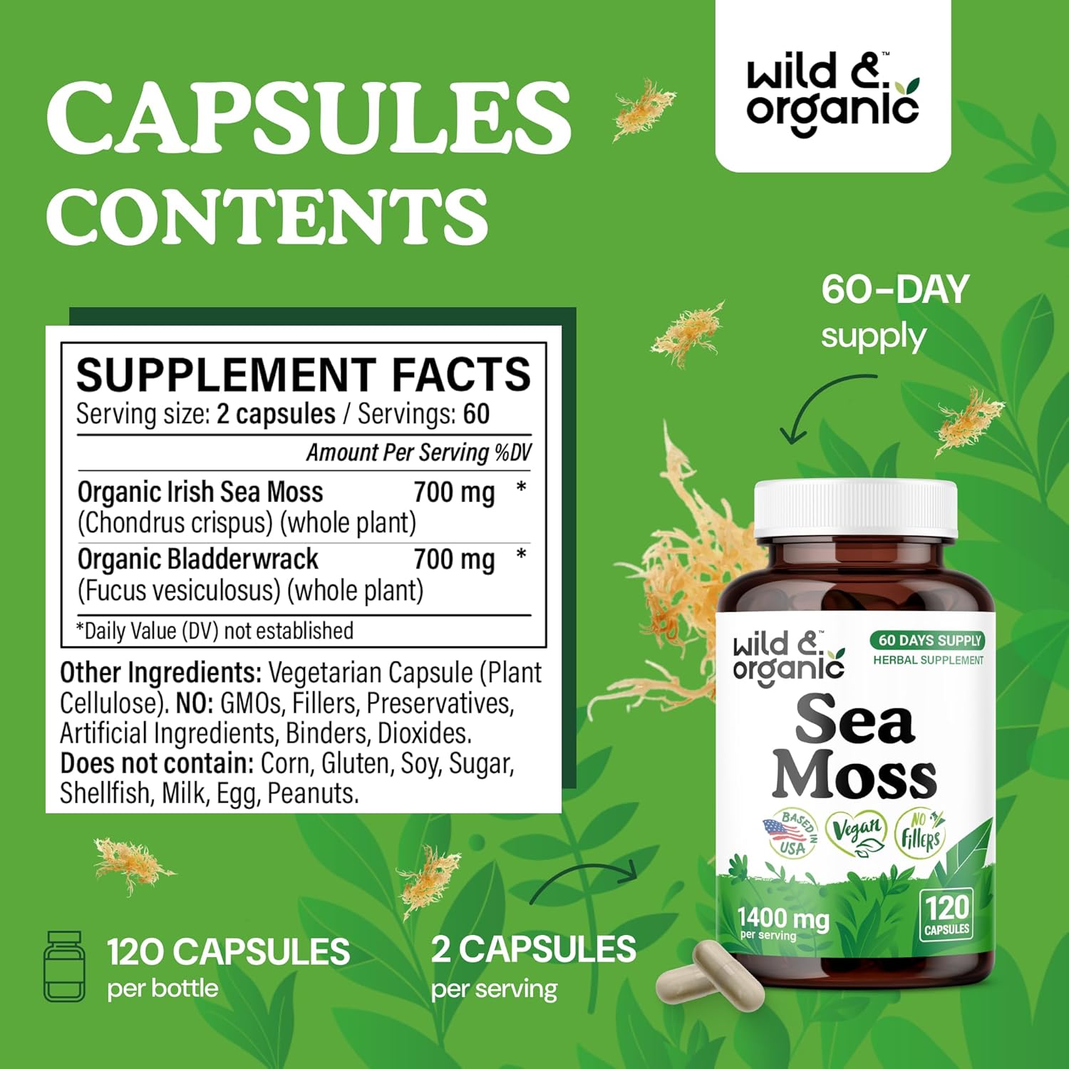 Wild & Organic Sea Moss Capsules - Overall Support - Irish Sea Moss Complex with Bladderwrack Powder Supplement - Chondrus Crispus - Vegan, No Fillers, Non-GMO - 120 Count - Image 3
