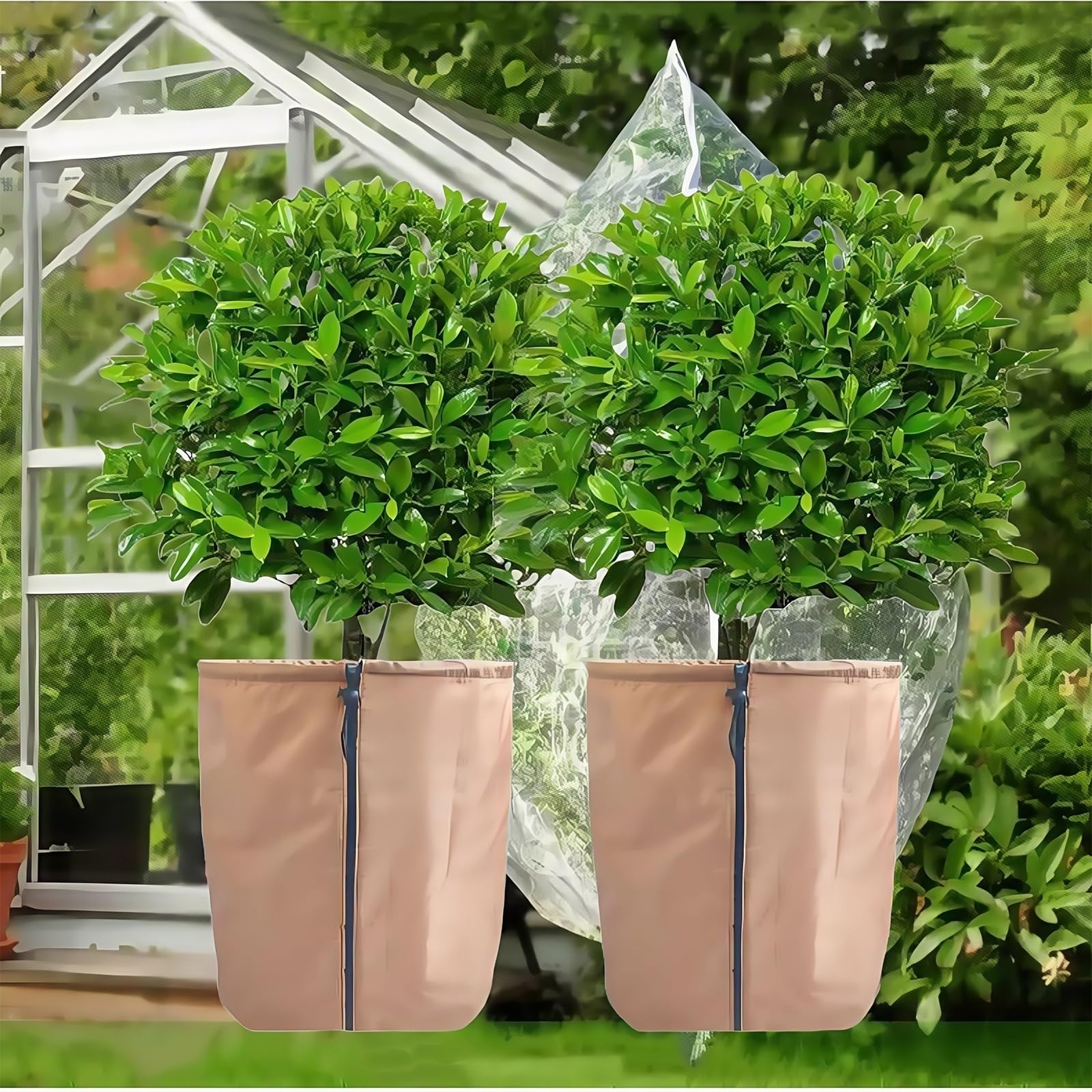 Funda térmica para plantas, funda protectora con cremallera y cordón, aislamiento para macetas para protección de temperatura