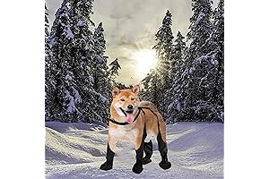 Dog Boots With Harness: Boots for Dogs Waterproof Anti-Slip Small Medium Dogs Paw Protectors