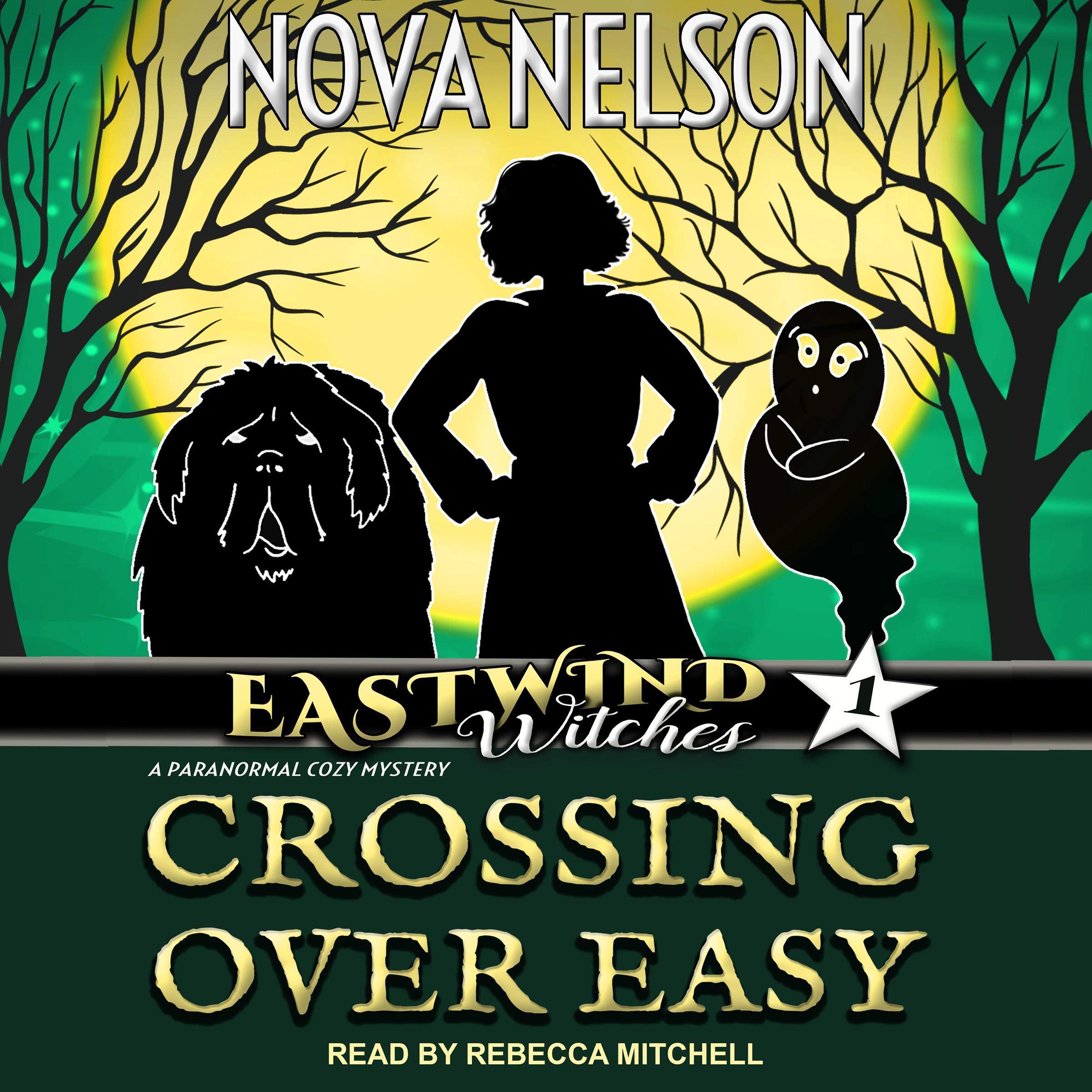Cover art for Crossing Over Easy