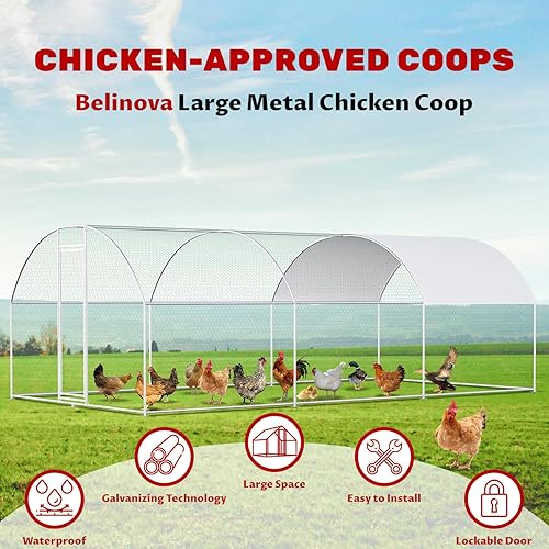 Miniatura 9 de Gallinero grande de metal, jaulas de pollo con cubierta impermeable y anti-ultravioleta para exteriores