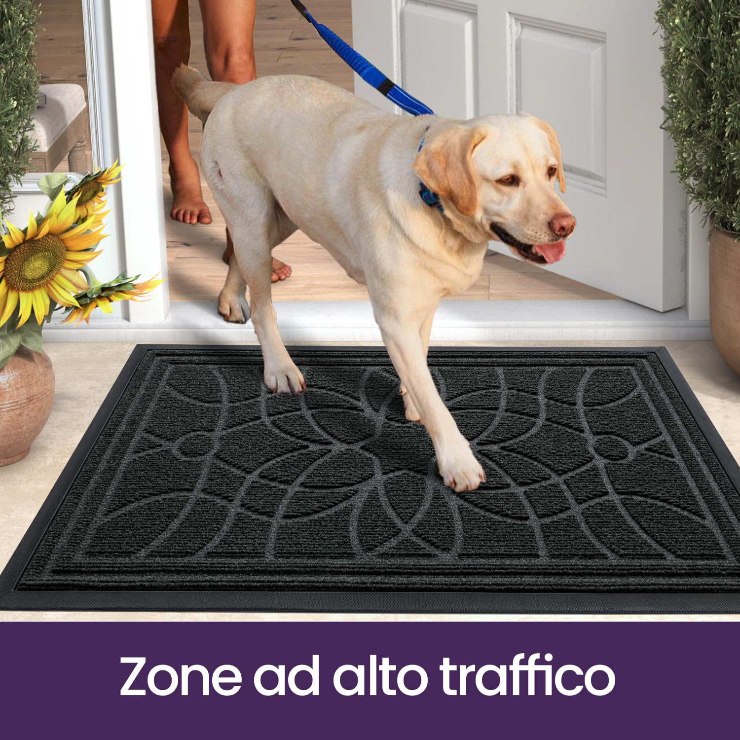 DEXI Zerbino Ingresso Esterno 60 x 90 cm, Tappeto Ingresso Interno Antiscivolo Impermeabile, Zerbini Assorbente Lavabile per Ufficio, Giardini, Balcone, Nero | Zerbino sottile e durevole, impermeabile, per interni, porta di casa, balcone o terrazza