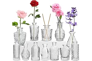 RUCKACE Assorted Bud Vases for Chic Decorations(Pack of 12)