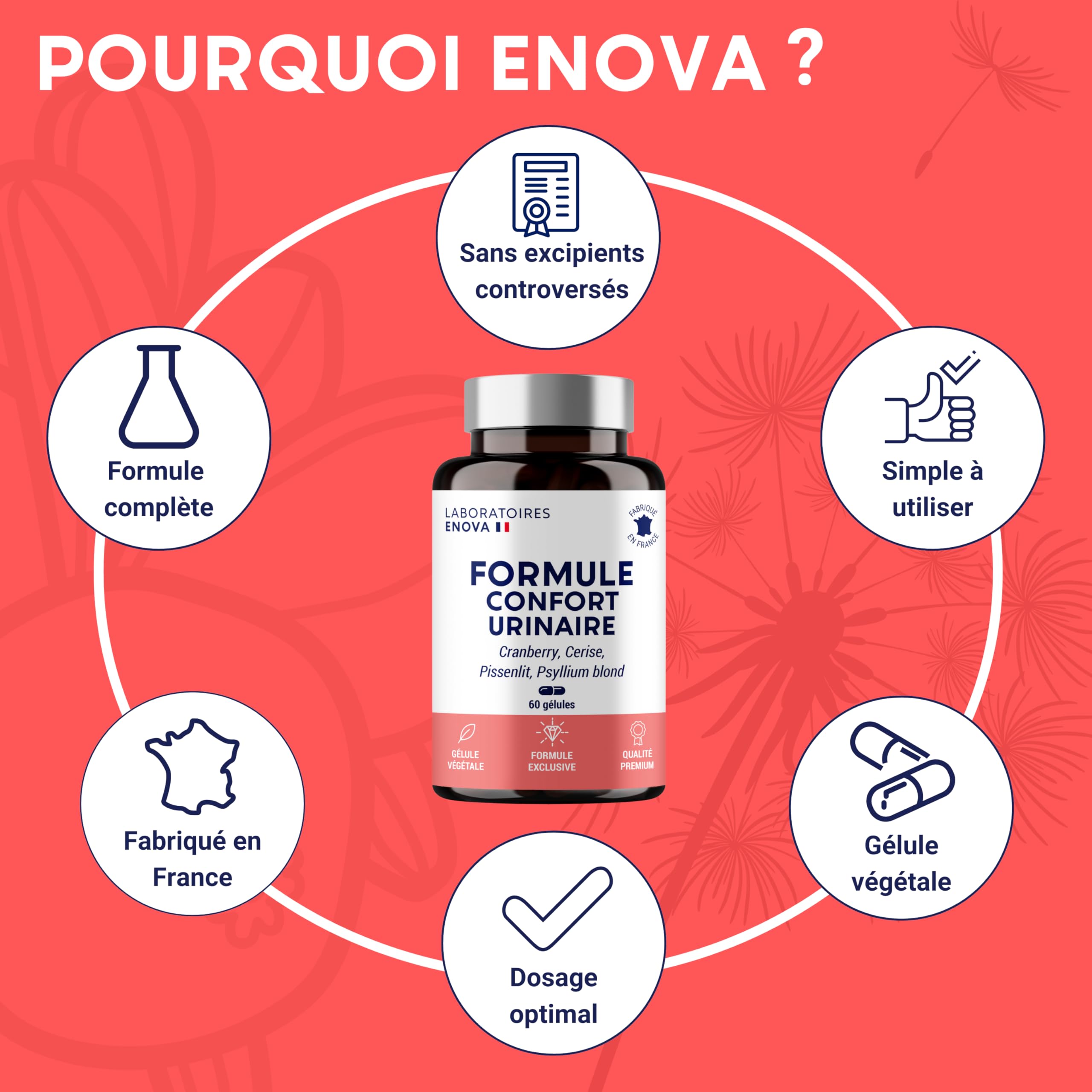 FORMULE CONFORT URINAIRE | Cranberry Psyllium Cerise Pissenlit | Complement alimentaire | Confort, Drainage, Régulation | 60 Gélules | Fabriqué en France