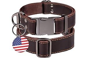 Durable ADITYNA Leather Dog Collar for Large Dogs