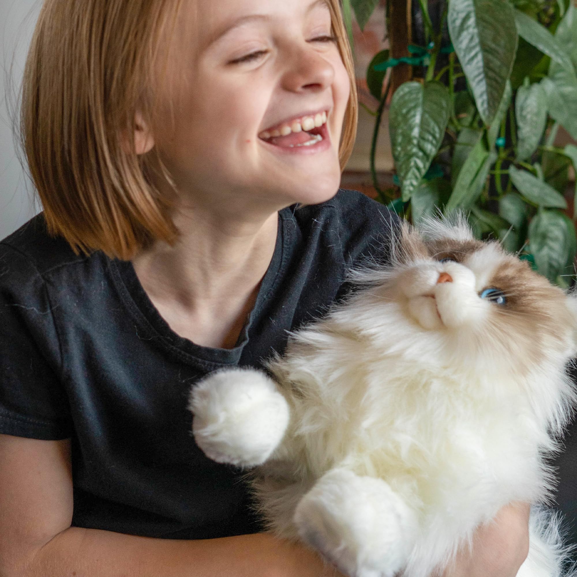 Amazon.co.jp: Chongker (チョンカー) 重みのあるぬいぐるみ 3ポンド