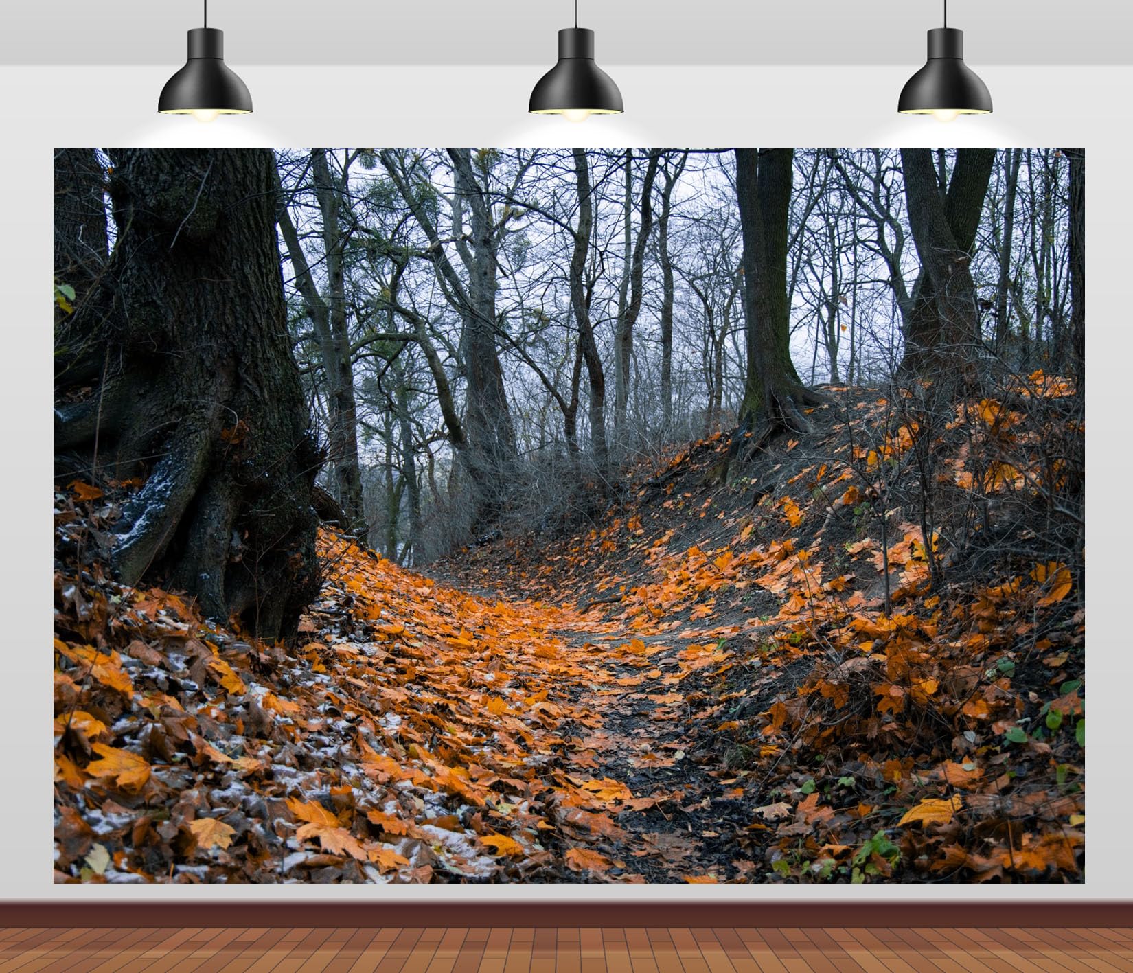 20x10FT (6x3m) Sentiero Nel Bosco Autunnale Sfondo Fotografico