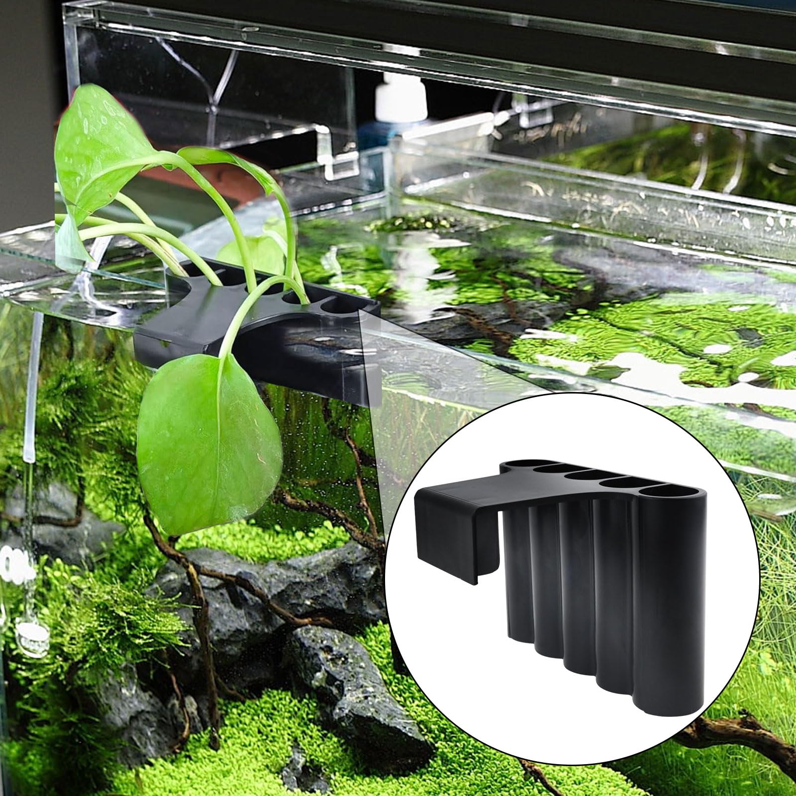 Pawfly Lot De 2 Supports De Plantes En Acrylique Transparent Pour