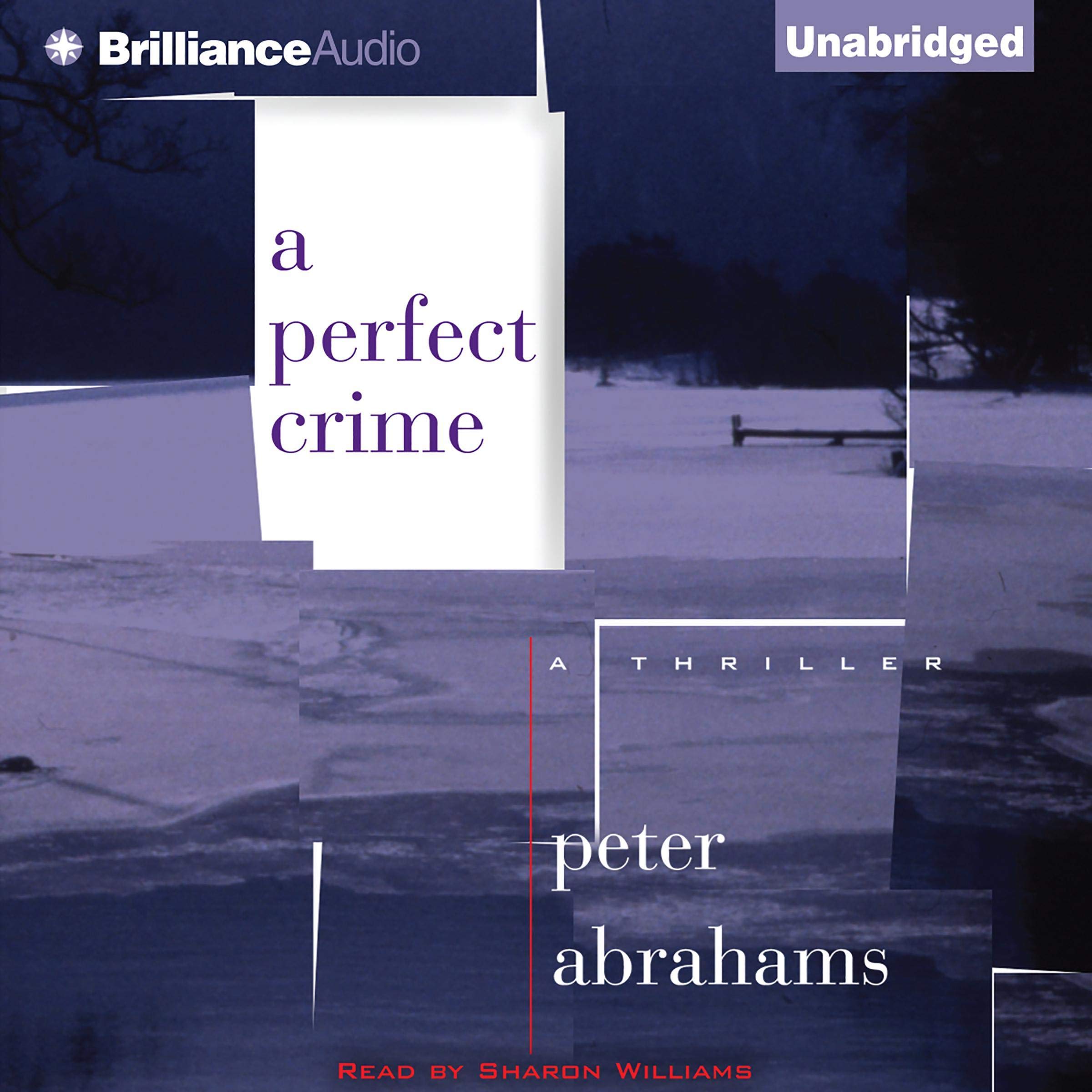 Cover art for A Perfect Crime