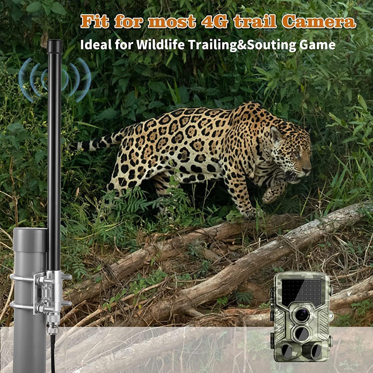 10dBi Outdoor 4G LTE Long Range Cellular Trail Camera Antenna with 20ft Cable for Spypoint Flex Flex-M Link Micro Link EVO Stealth Cam Tactacam Reveal X PRO Gen 2.0/3.0 Muddy Trail Camera
