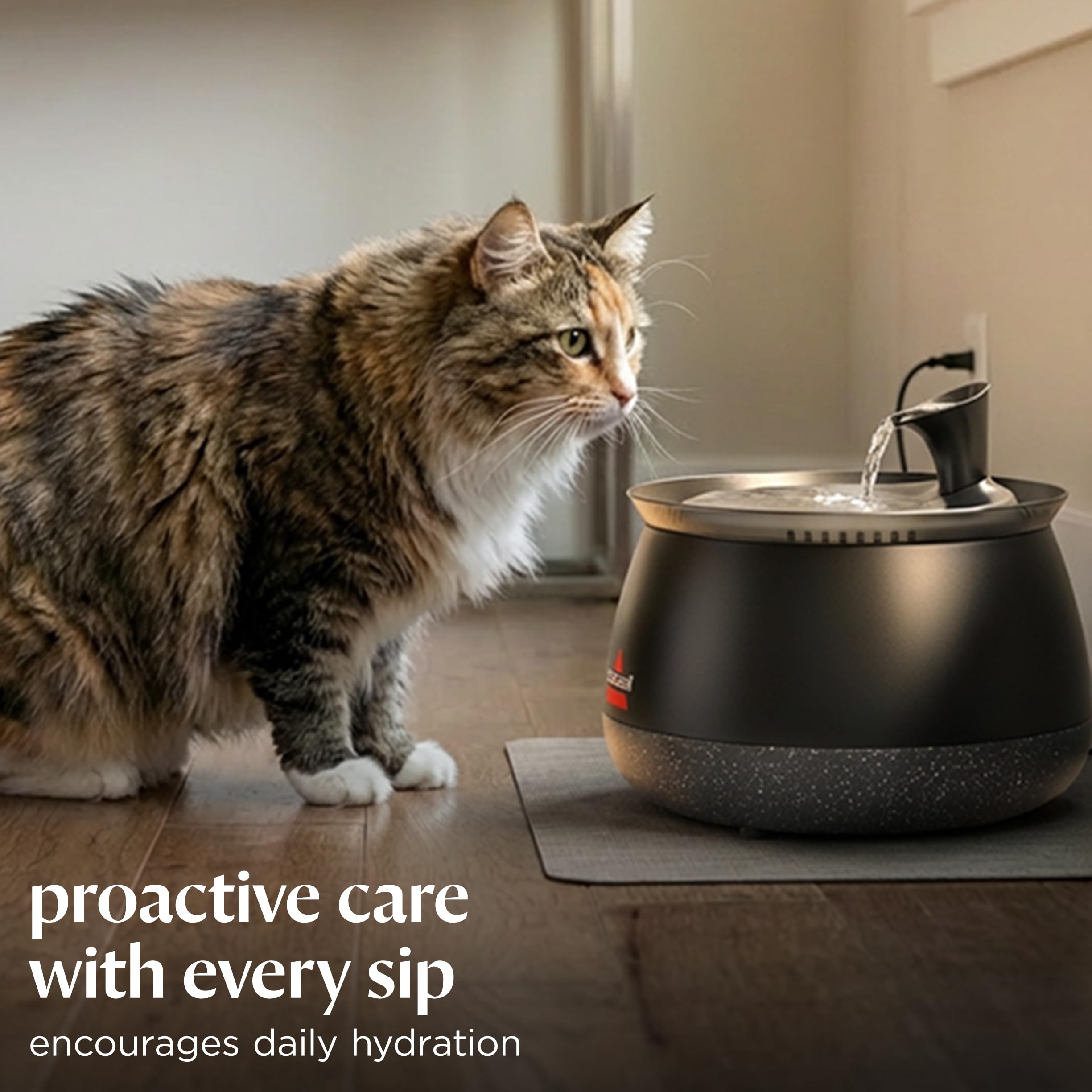 BISSELL HydrateWell - Fuente de agua para gatos, 92 onzas, 4408 | Bomba inalámbrica; tecnología SlimeShield; filtración de 5 capas; funcionamiento ultrasilencioso; dispensación automática