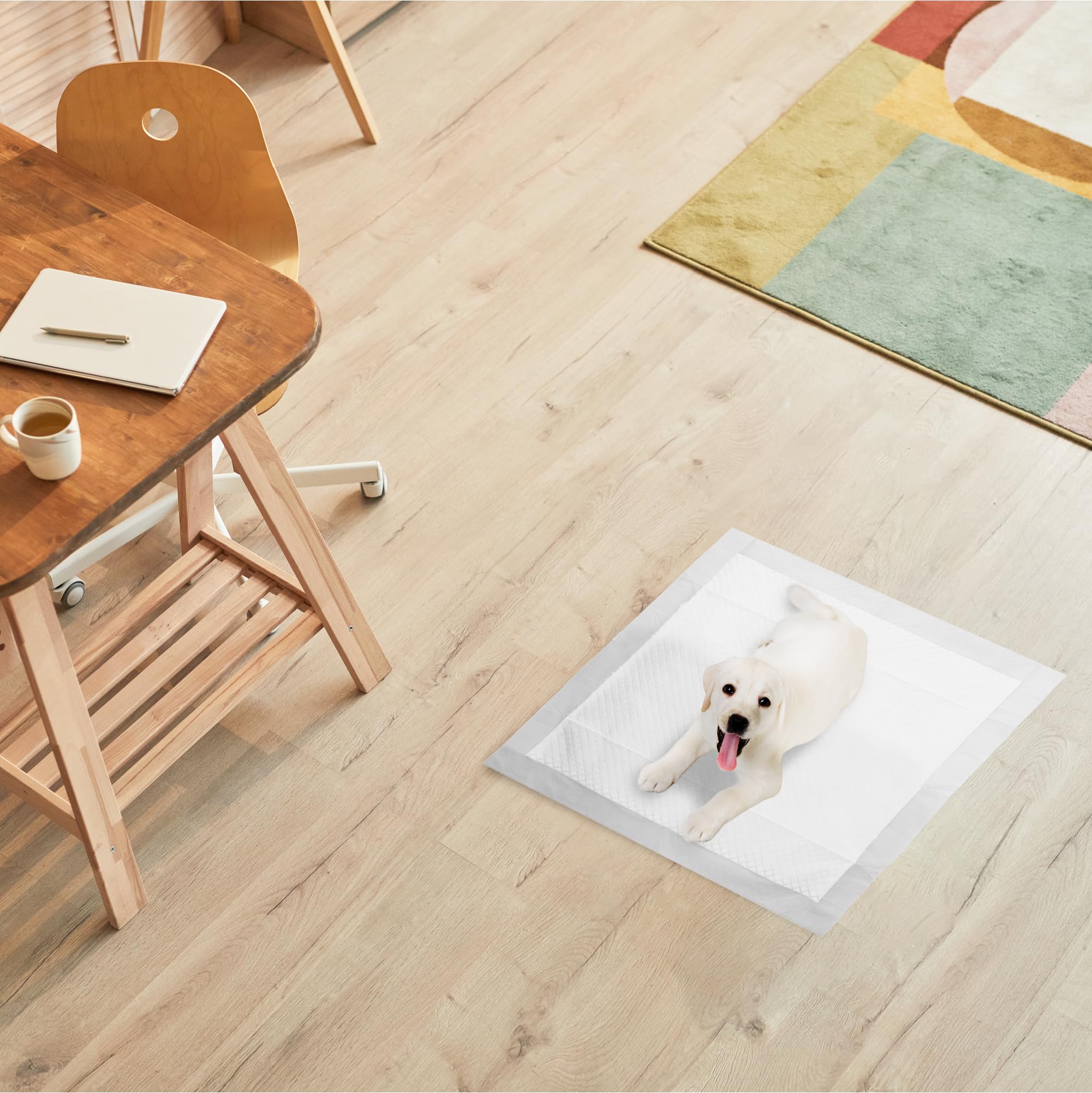 R MOVE 100 Traversine Cani 60x60 con Adesivi - Tappetini Igienici Assorbenti per Cani, Traverse Cane EXTRA Assorbenti, Telini Pipi, Tappetino Igienico con rivestimento antiodore Traversina Assorbente
