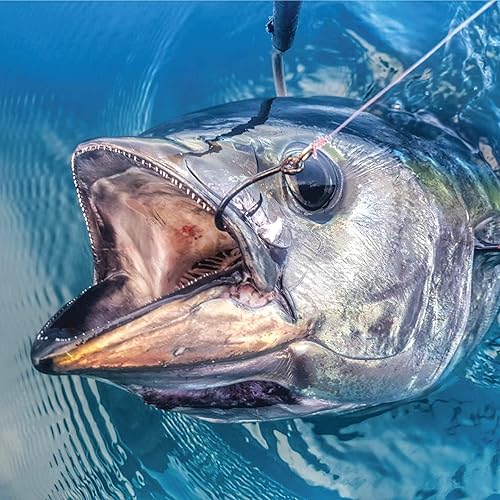 Miniatura 5 de Mustad UltraPoint Demon Anzuelo de alambre extrafino para bagre, carpa, mojarra azul, atún, anzuelo de pesca de agua salada o agua dulce, Negro