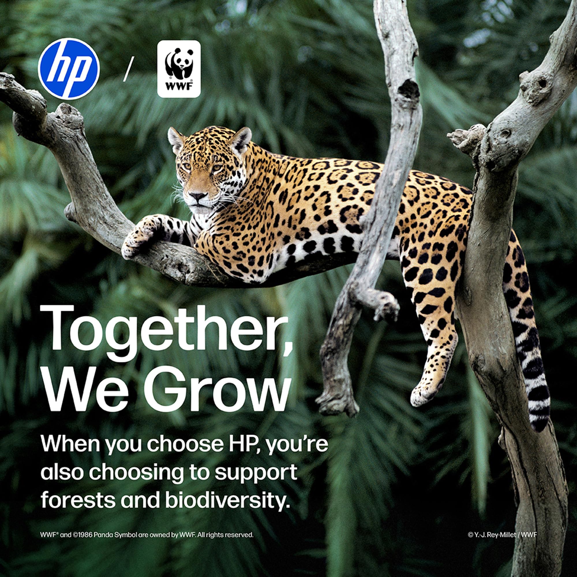 HP 67XL Ink Cartridge - High Yield -12 HP 67XL Ink Cartridge - High Yield -12