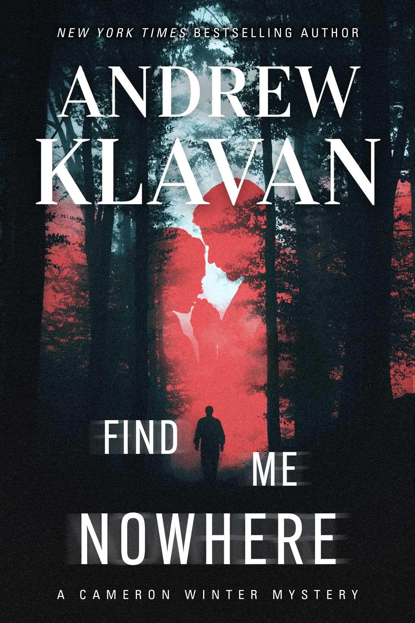 Find Me Nowhere (Cameron Winter Mysteries, 6)