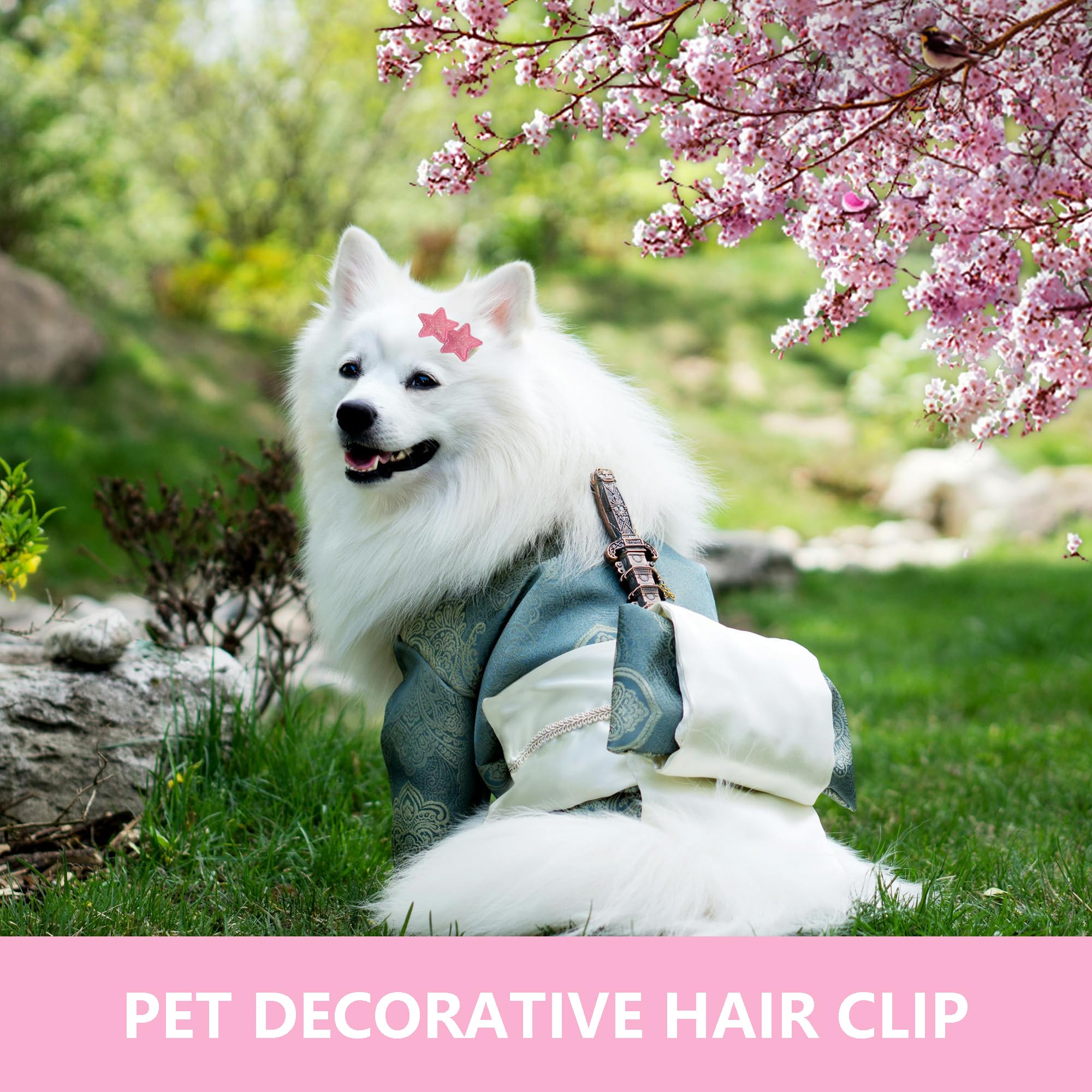 DHER 10 Pieces Pet Hair Clips for Small Pets Hair Clips for Dogs Pet Hair Clips Small Clips for Animal Hair Super Cute Dog Headdress (The Stars) - Image 2