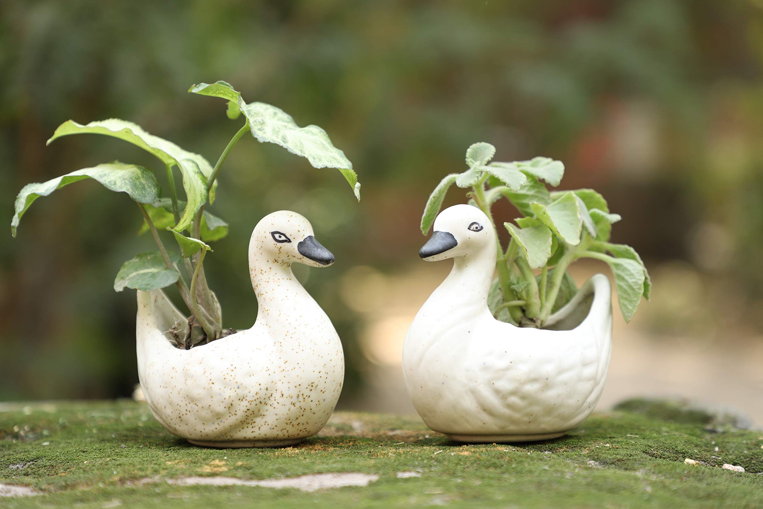 Lyallpur Stores Ceramic Planter Pot Bird Shape - Small (White Color, 10 cm) Plant Not Included (B08W8HY6K8) Amazon Price History, Amazon Price Tracker
