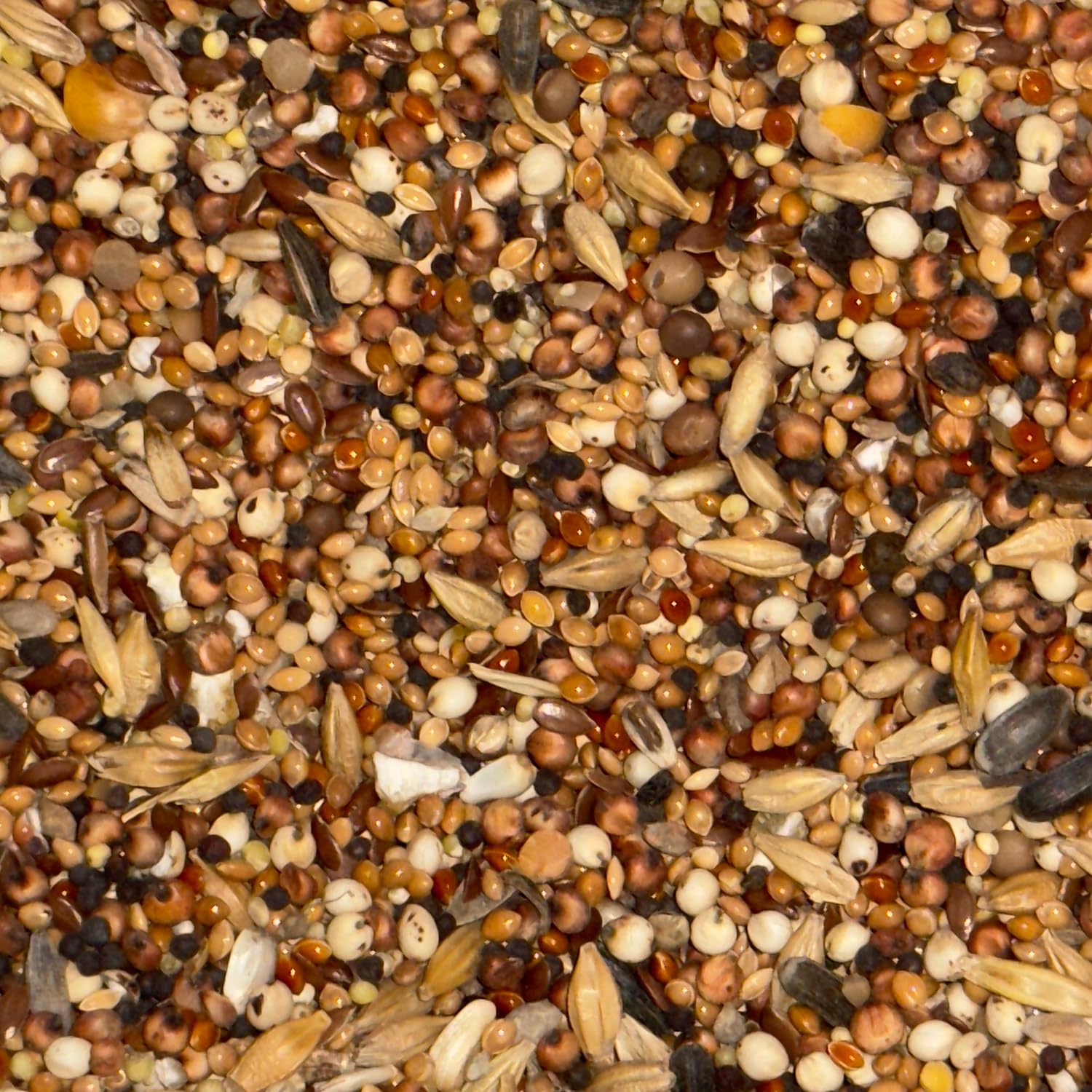 Nourriture pour poulets 25 kg - Mélange de grains volaille - Non OGM 100% naturel