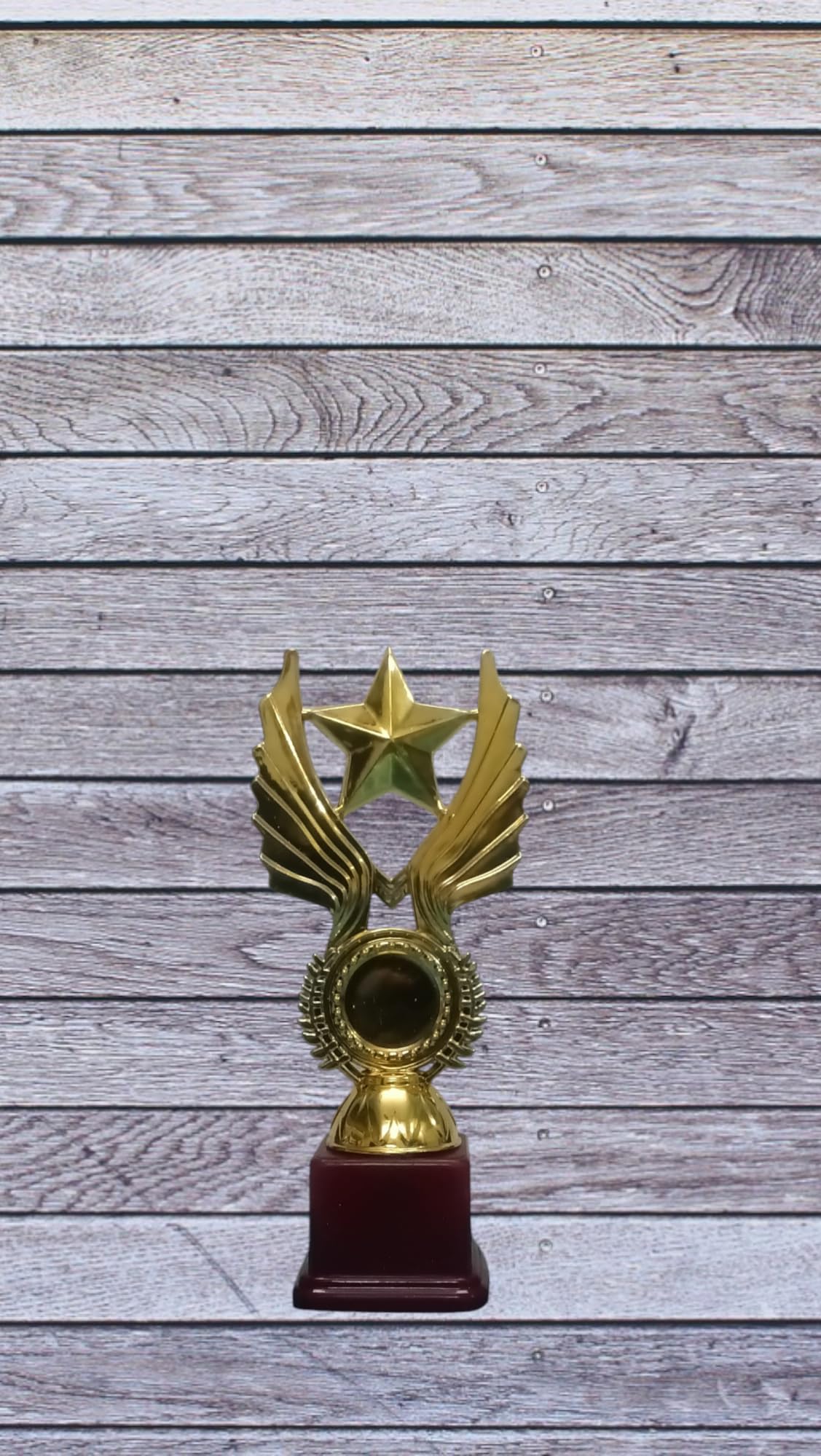 Metallic Fiber Rising Star Golden Winning Trophy/Award for Winners (18 Centimeters)-image-40